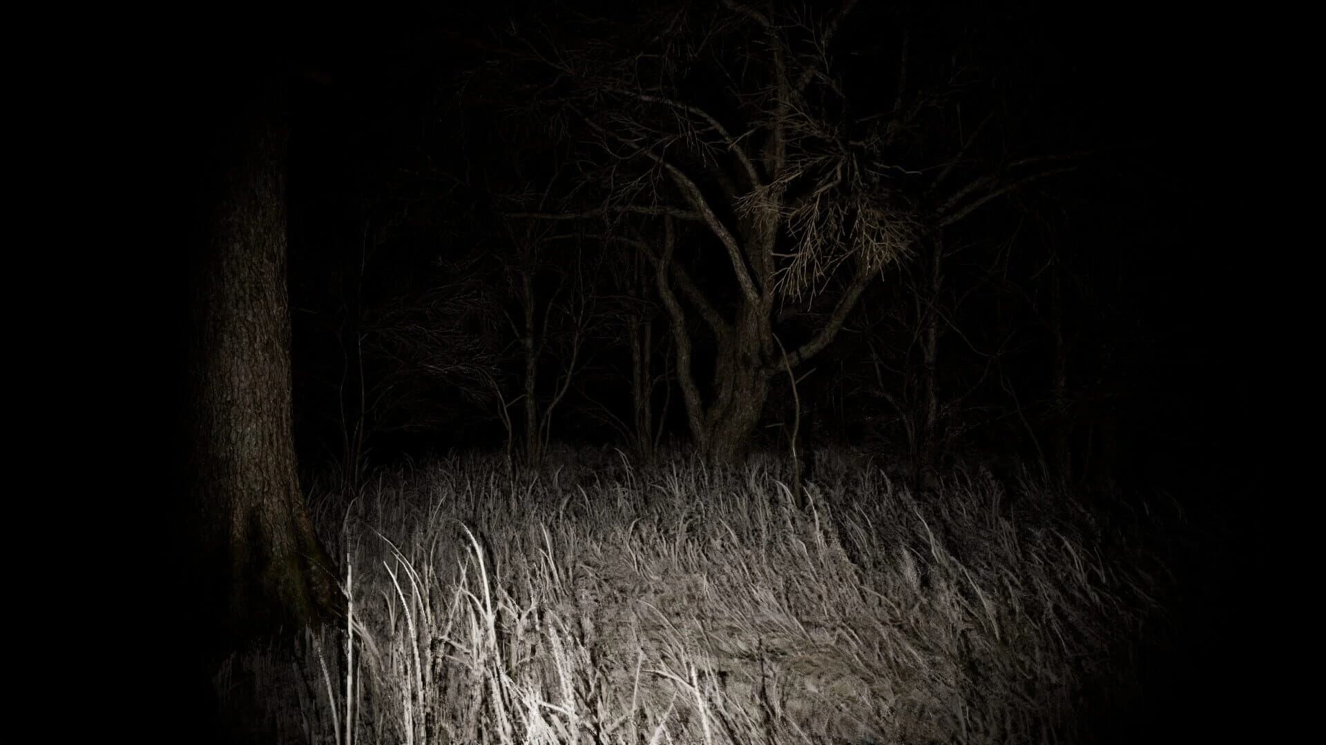 Dark Eyed Angels screenshot 3