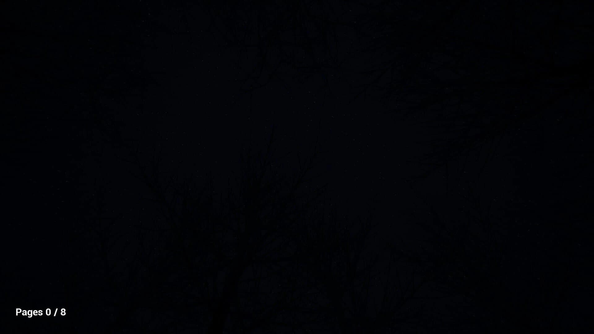 Dark Haunting screenshot 2