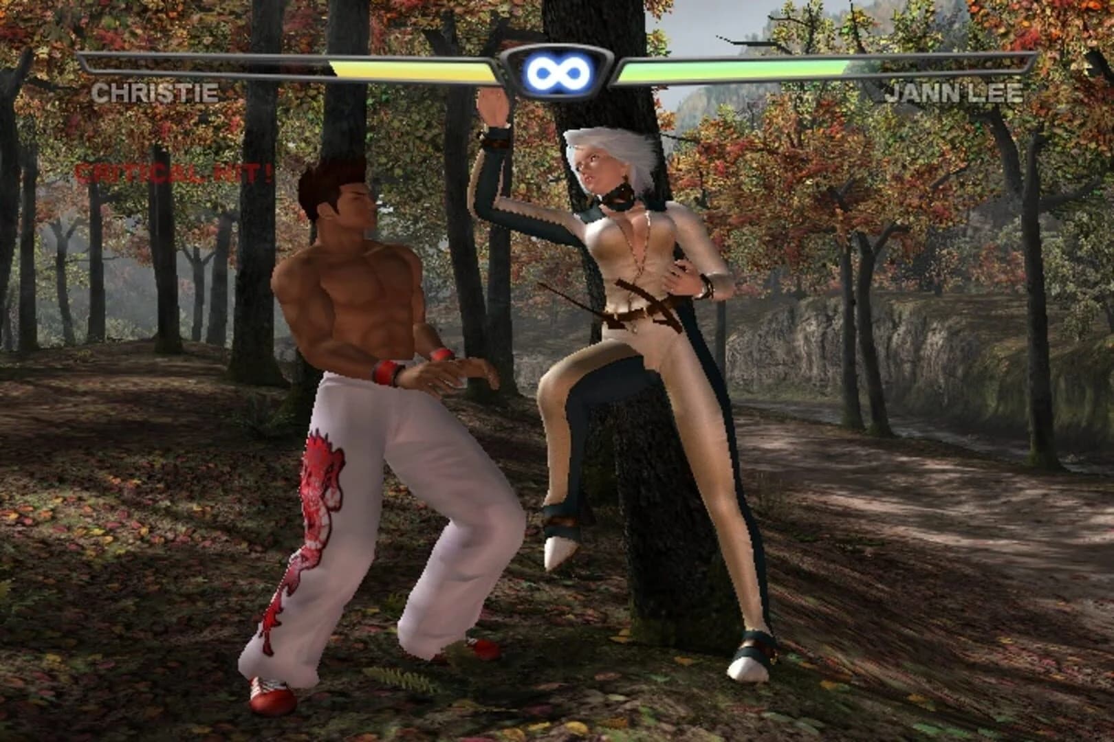Dead or Alive 3 screenshot 5