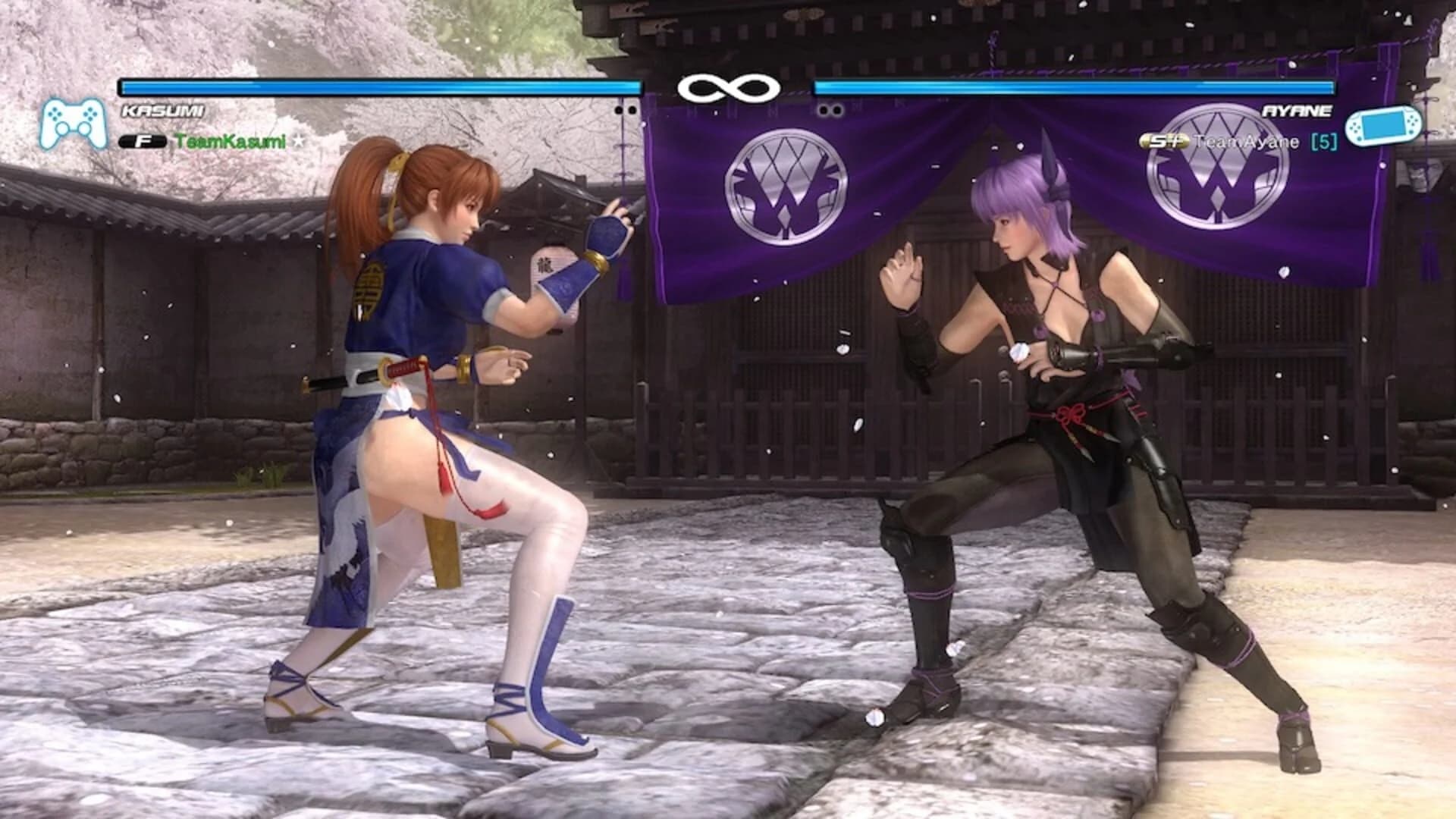 Dead or Alive 5 Plus screenshot 2