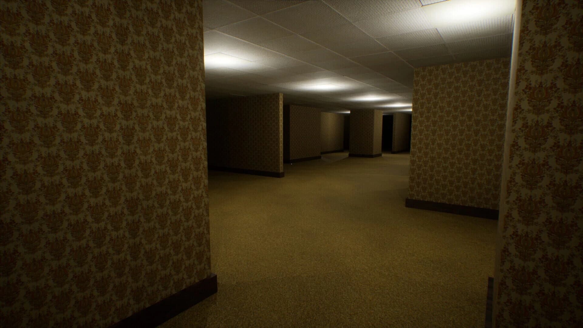 Deja Vu: The Backrooms screenshot 1