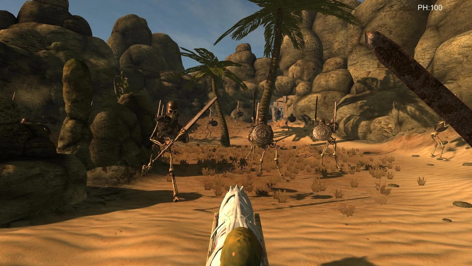 Desert coachman screenshot 5