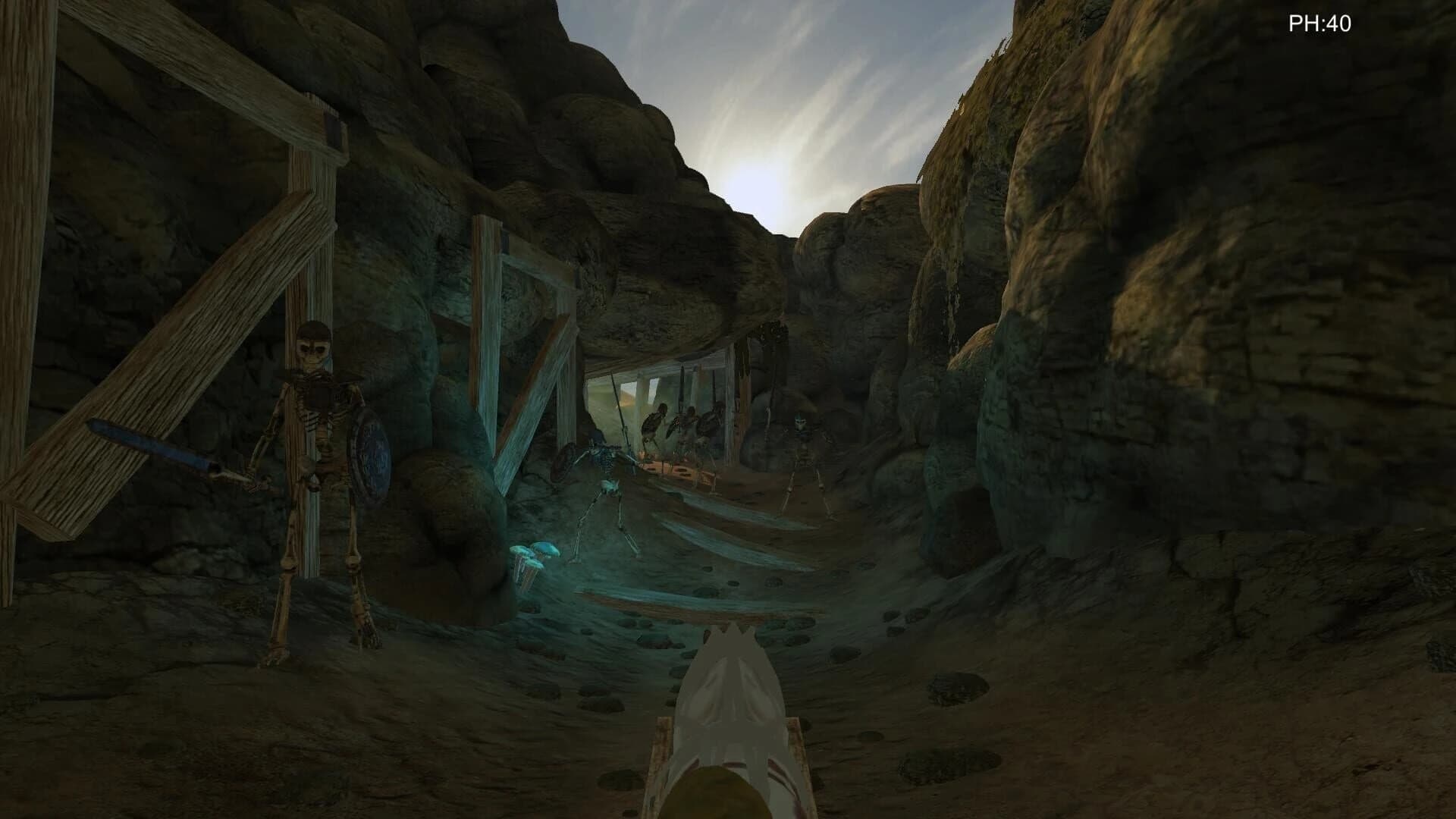 Desert coachman screenshot 2