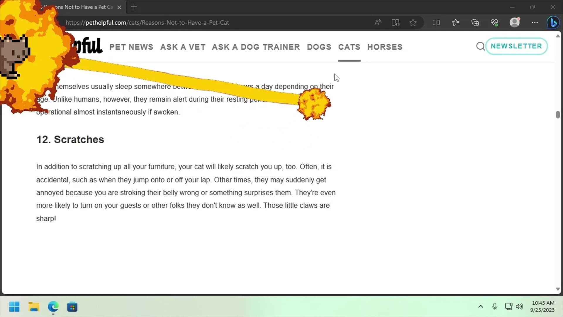 Desktop Pet Project screenshot 1