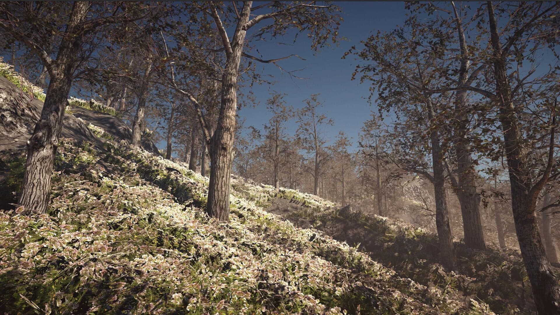 Determinant screenshot 3