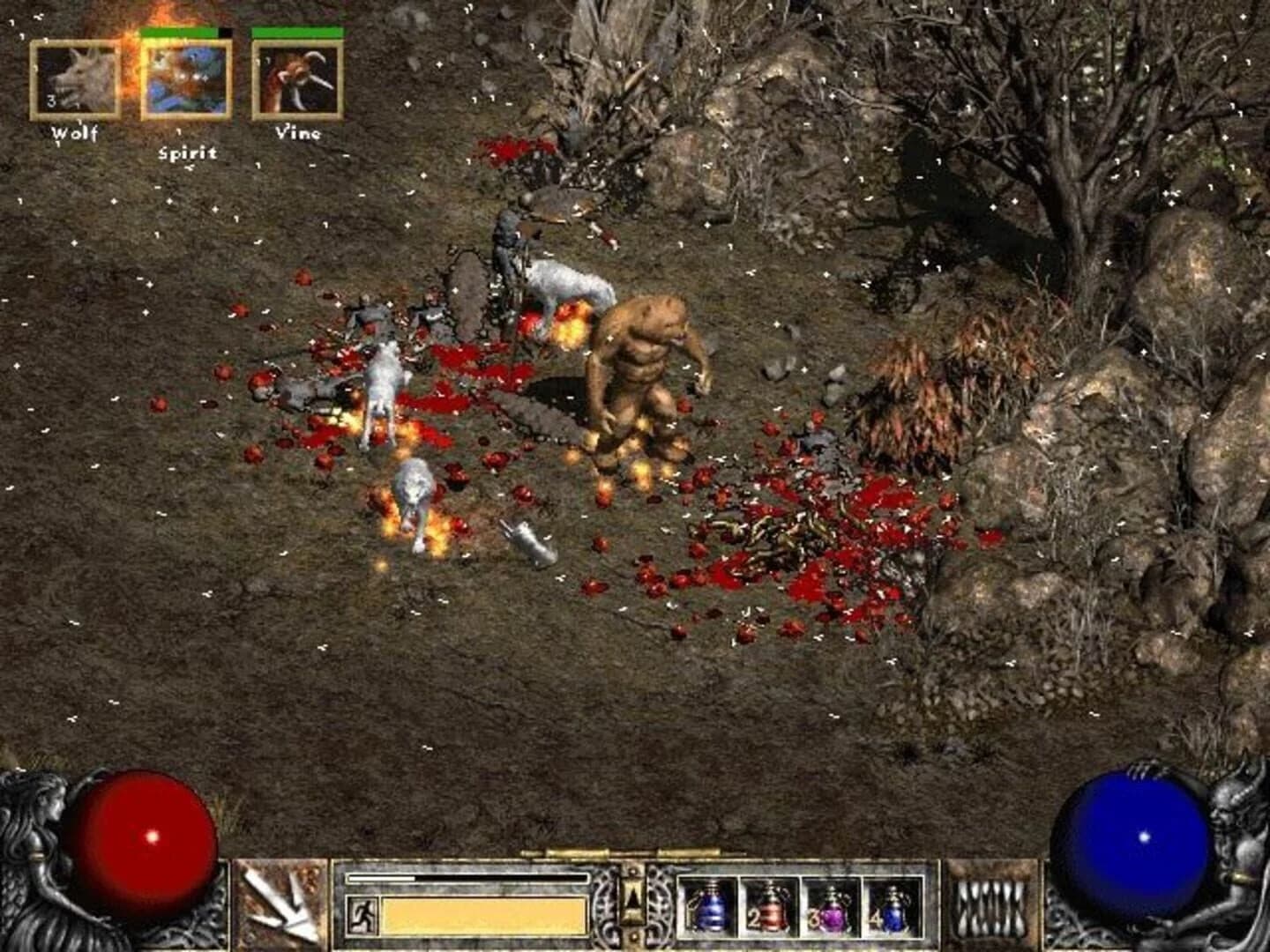 Diablo II screenshot 5