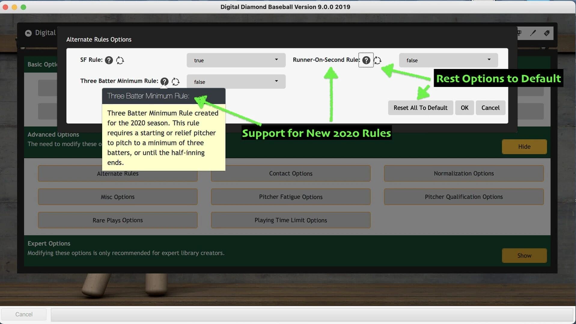 Digital Diamond Baseball V9 screenshot 2