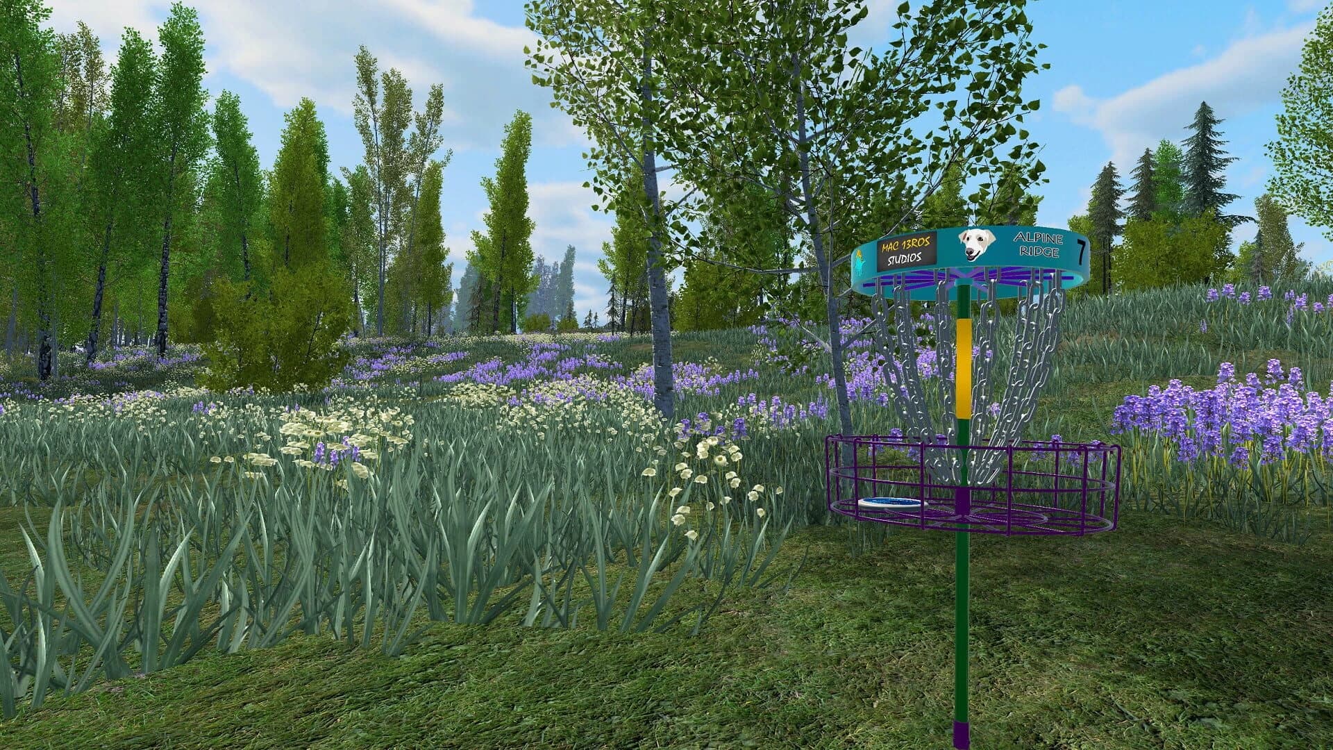 Disc Golf Adventure 2 VR screenshot 2