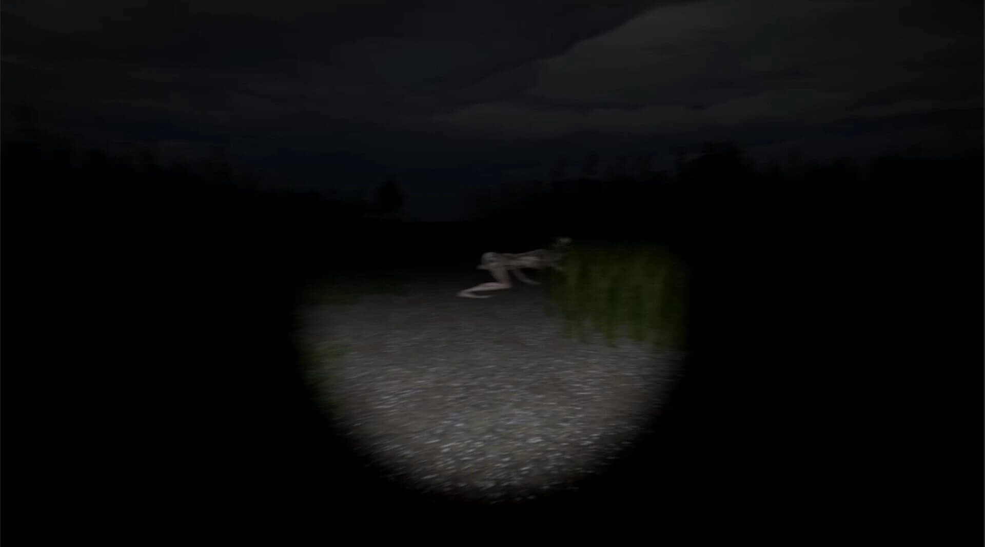 Disquiet Fields screenshot 3