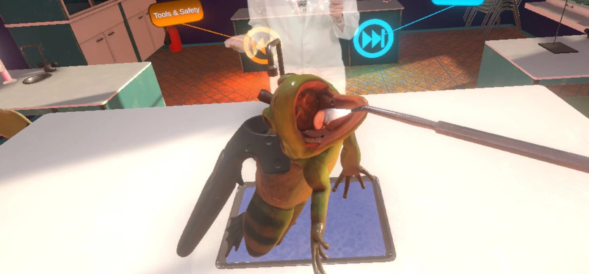 Dissection Simulator: Frog Edition screenshot 3