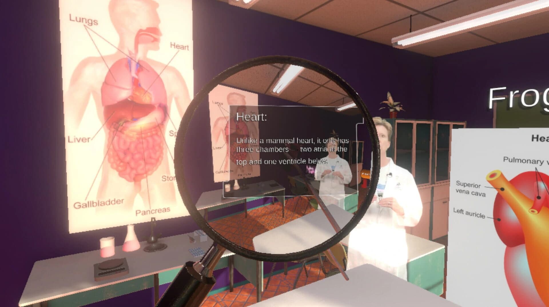 Dissection Simulator: Frog Edition screenshot 5