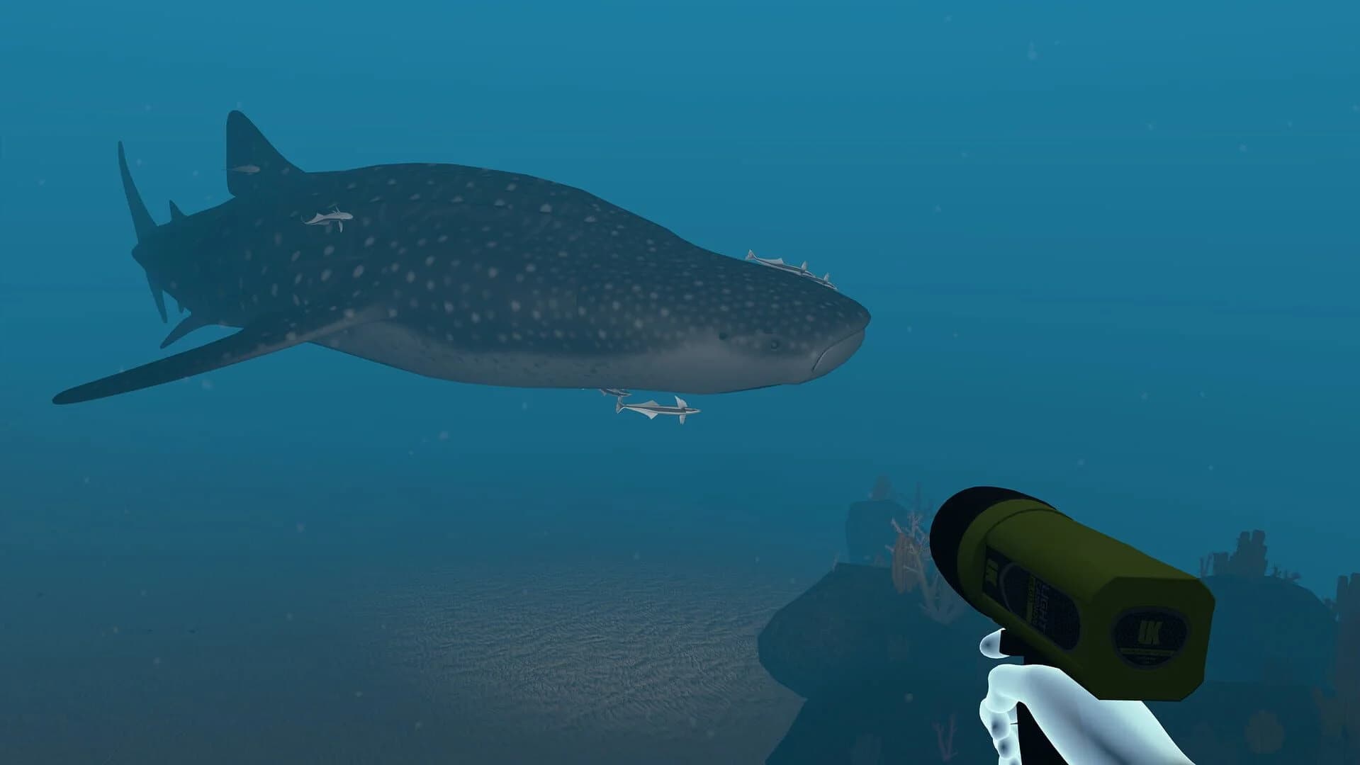 Dive with Sylvia VR screenshot 4