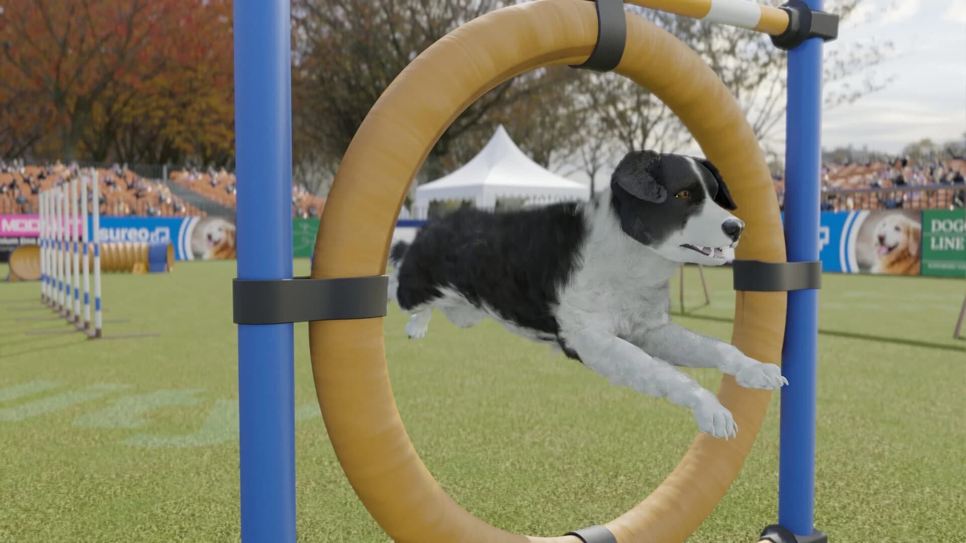 Dog Trainer screenshot 5