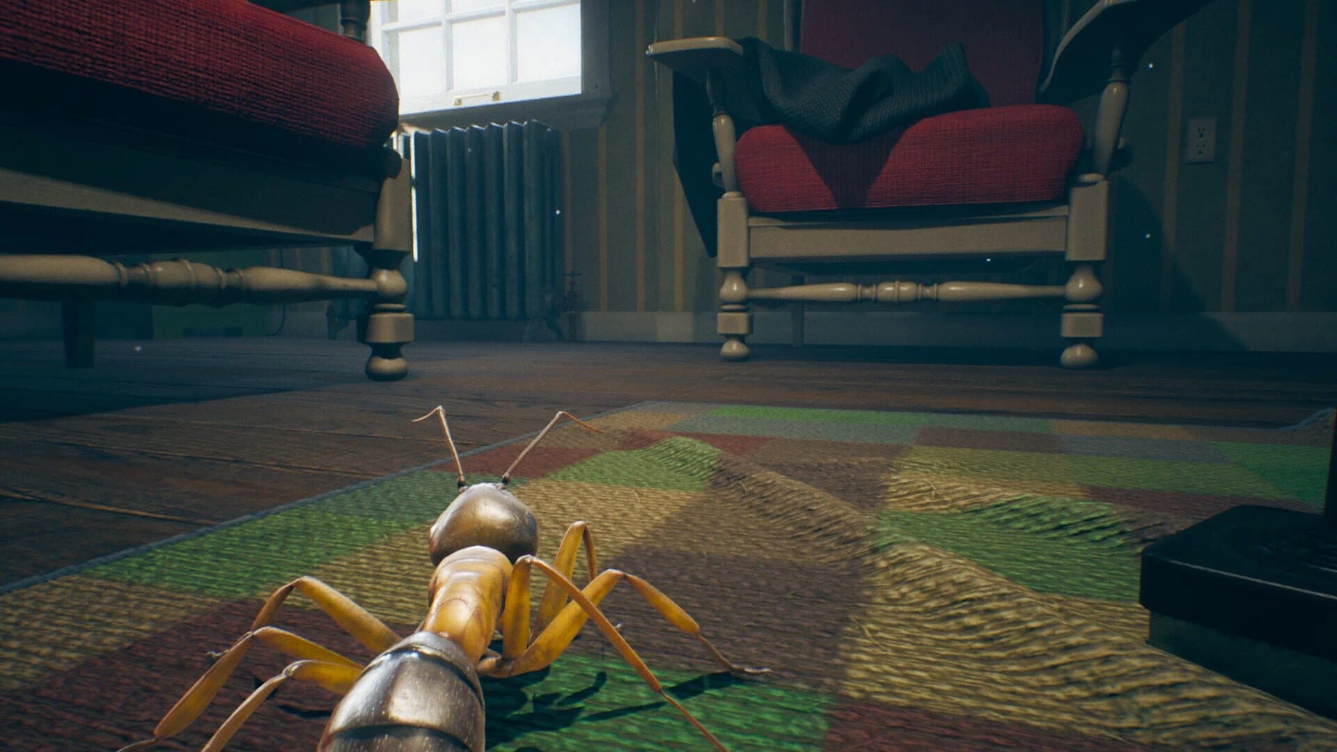 Domin'Ant screenshot 4