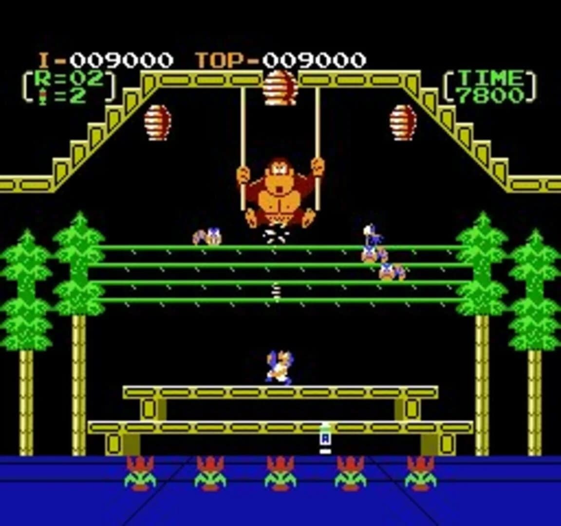 Donkey Kong 3 screenshot 2