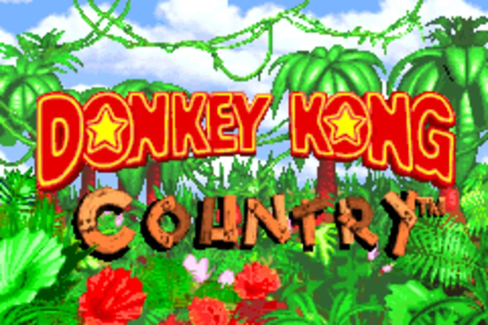 Donkey Kong Country screenshot 1