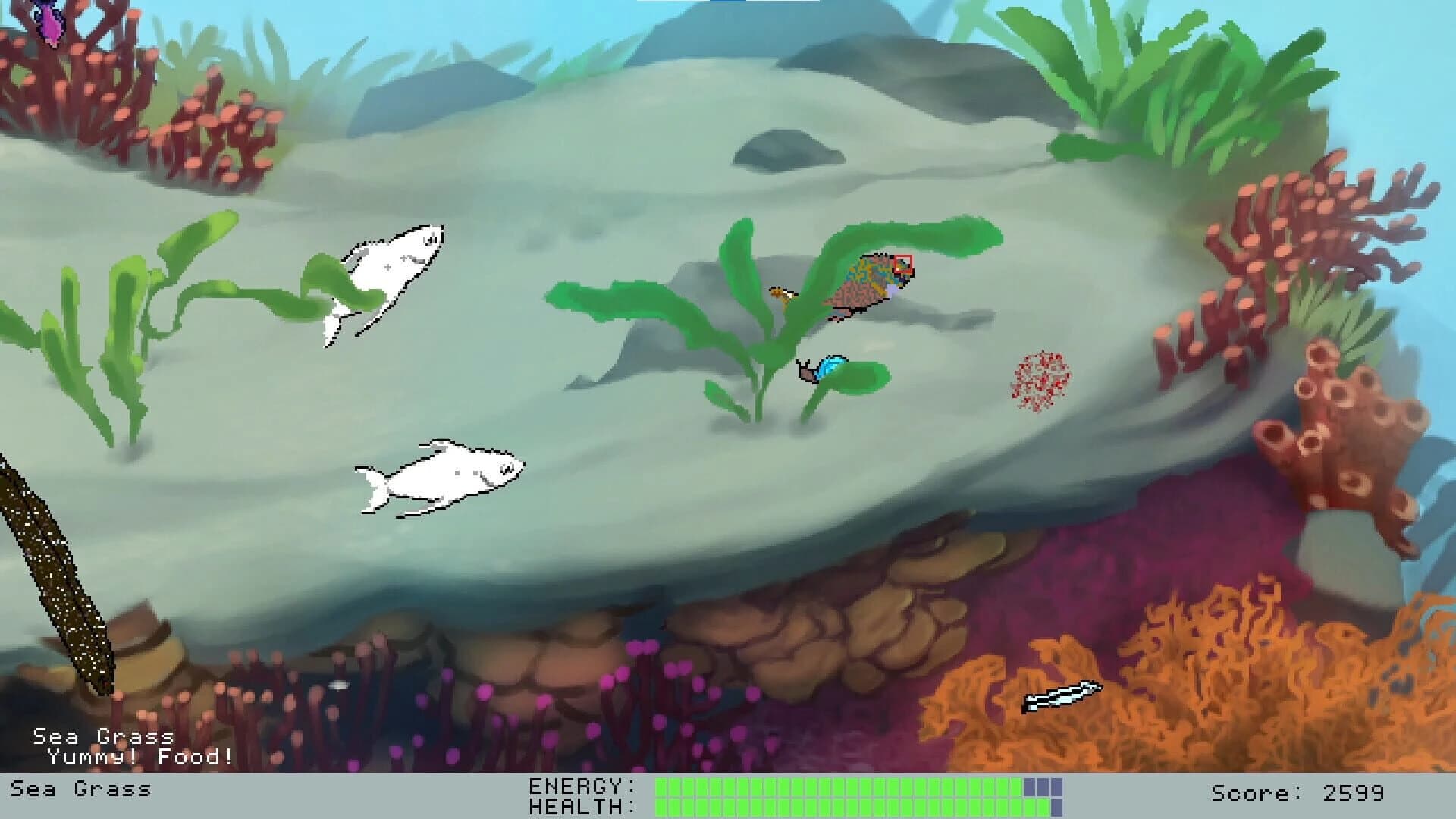 Down Under screenshot 4