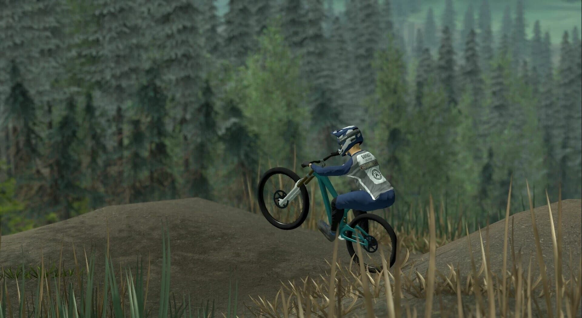 Downhill Pro Racer screenshot 1