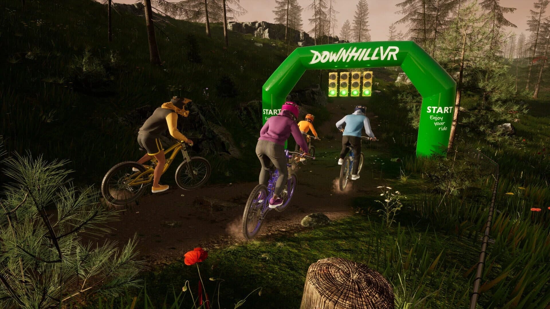 DownhillVR screenshot 2