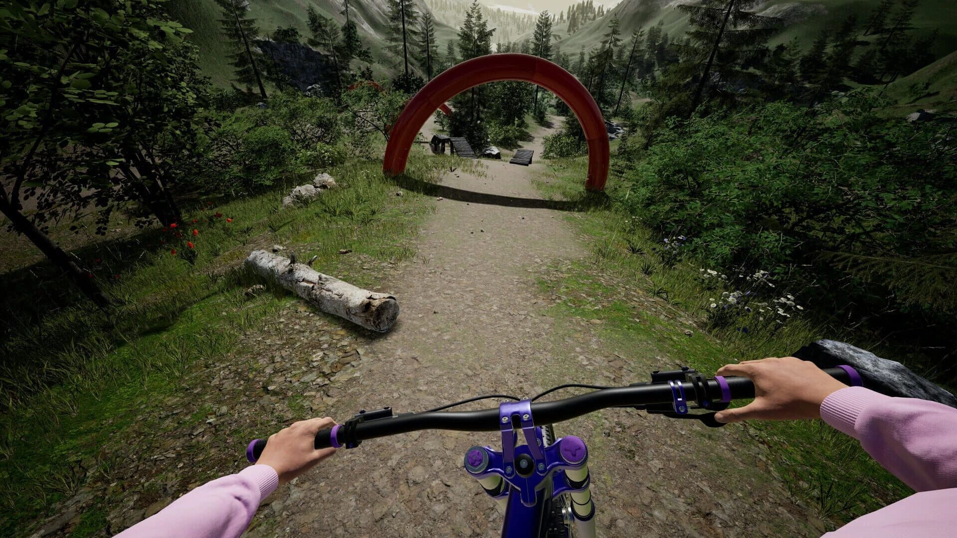 DownhillVR screenshot 1
