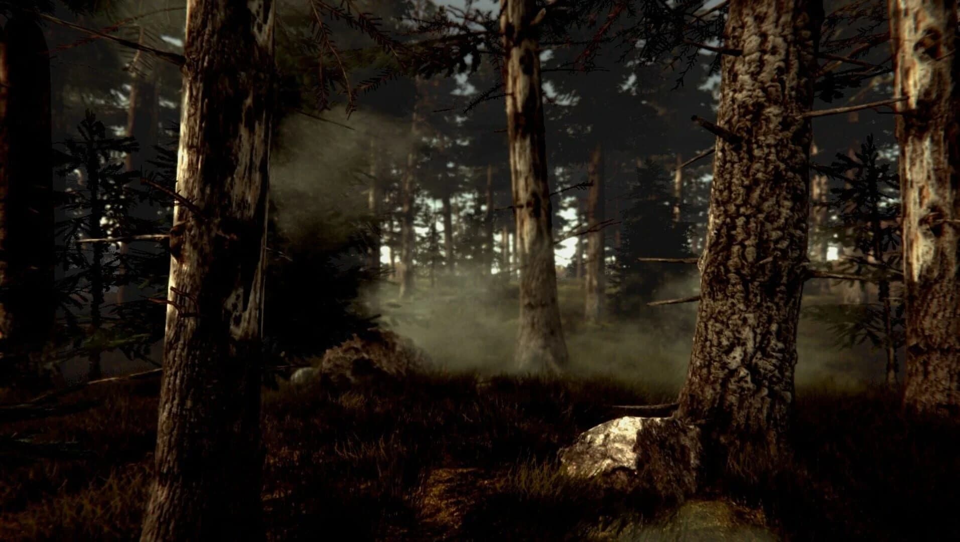 Dr. Emmerson's Nocturnes screenshot 5