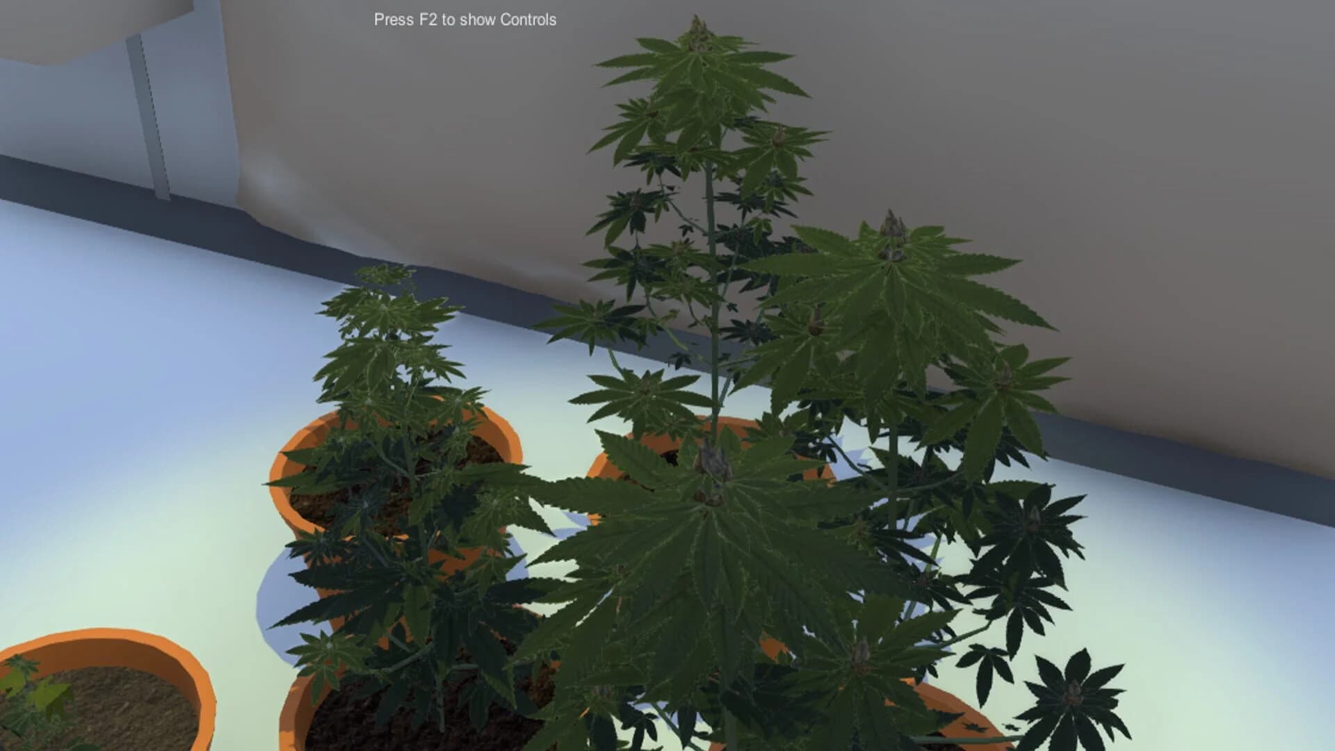 Dr GreenStuff screenshot 4