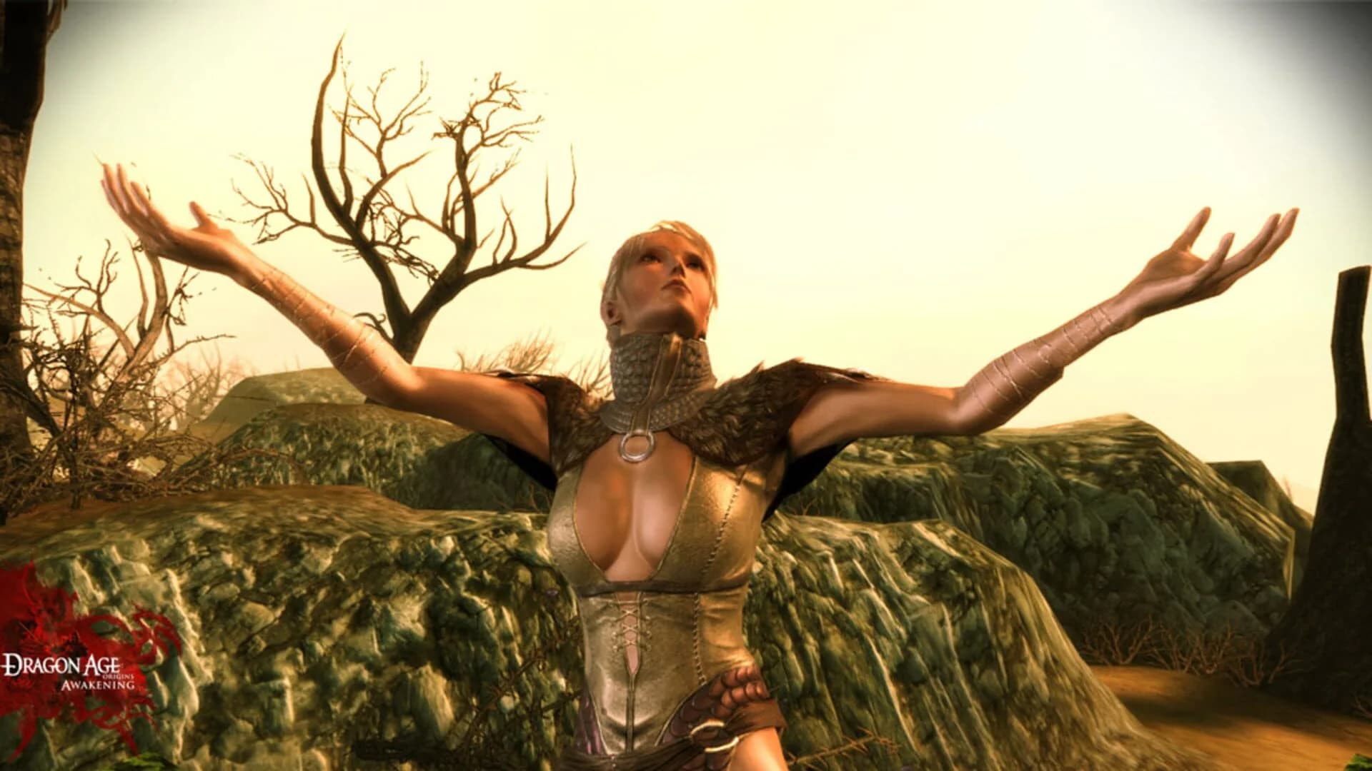 Dragon Age: Origins - Awakening screenshot 5