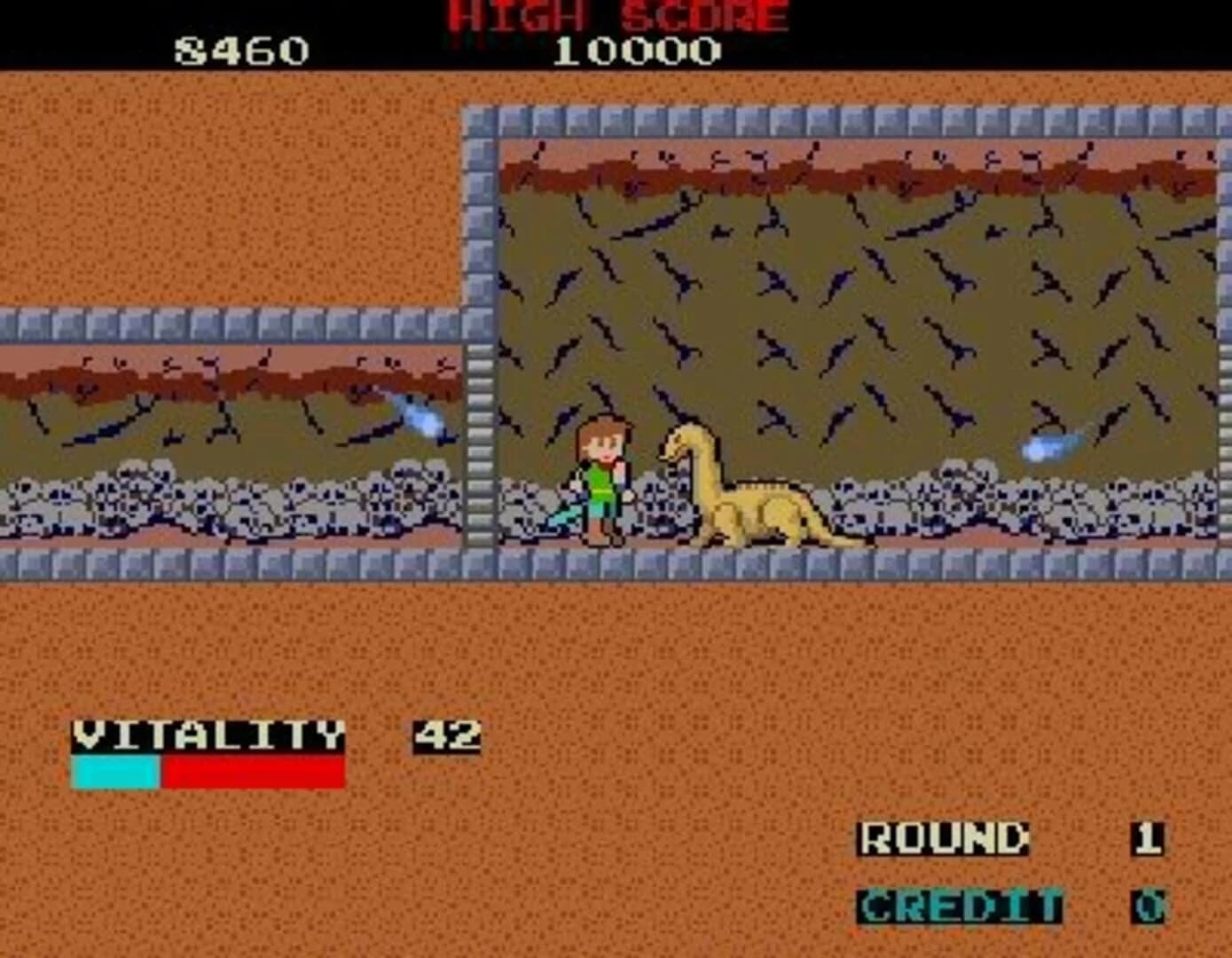 Dragon Buster screenshot 2