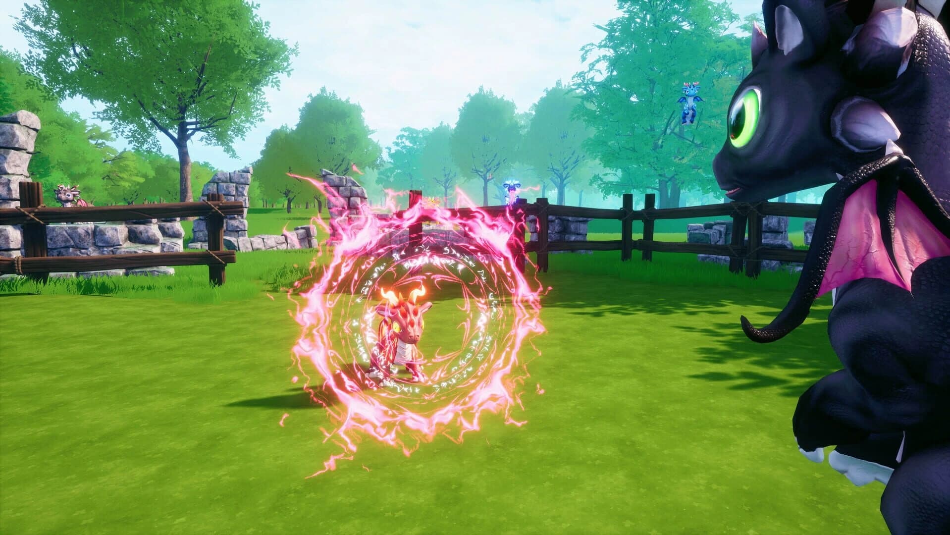 Dragoneila screenshot 5
