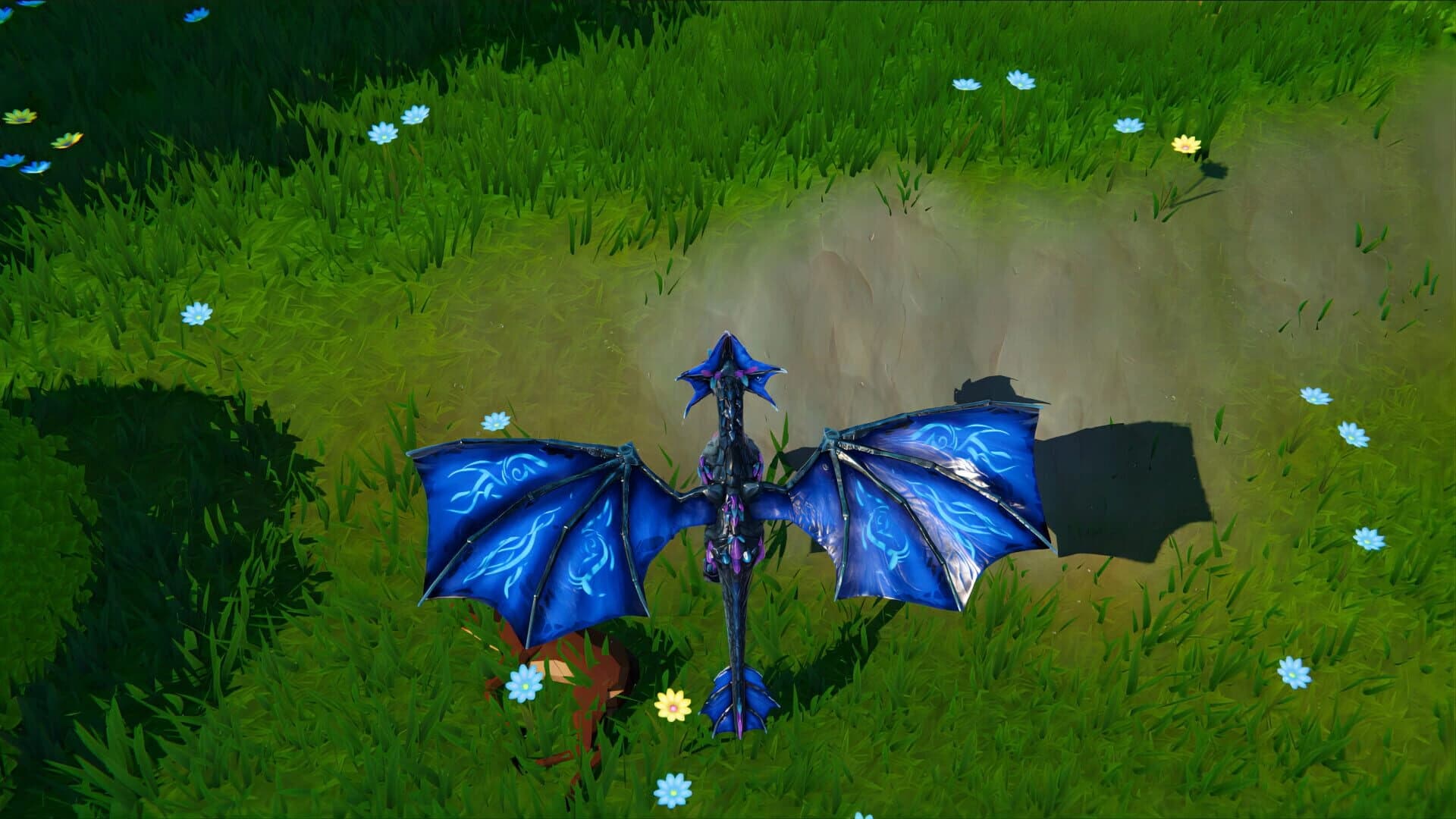 Dragons and Nature screenshot 2