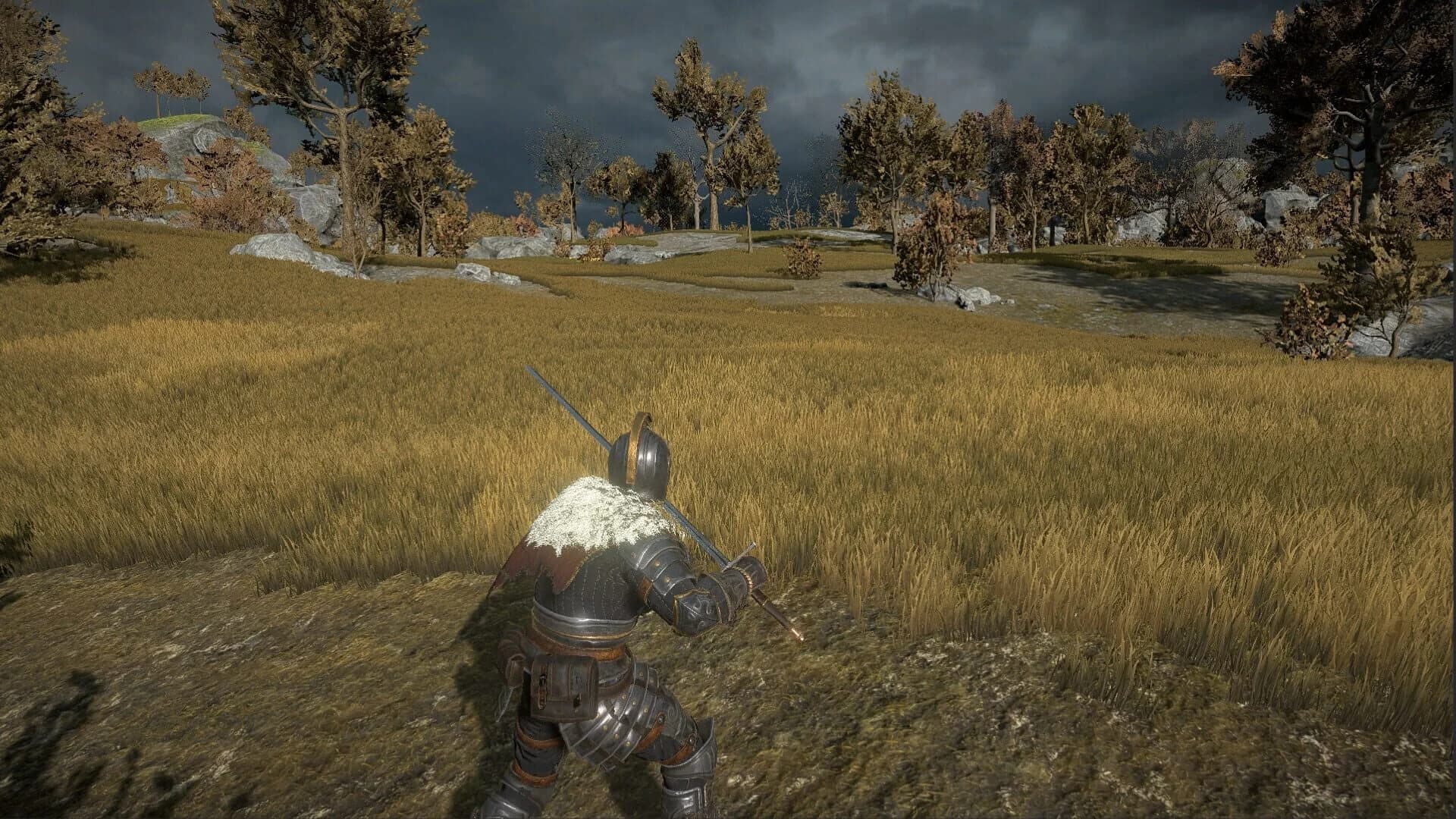 Dragon's Dog Mother screenshot 2