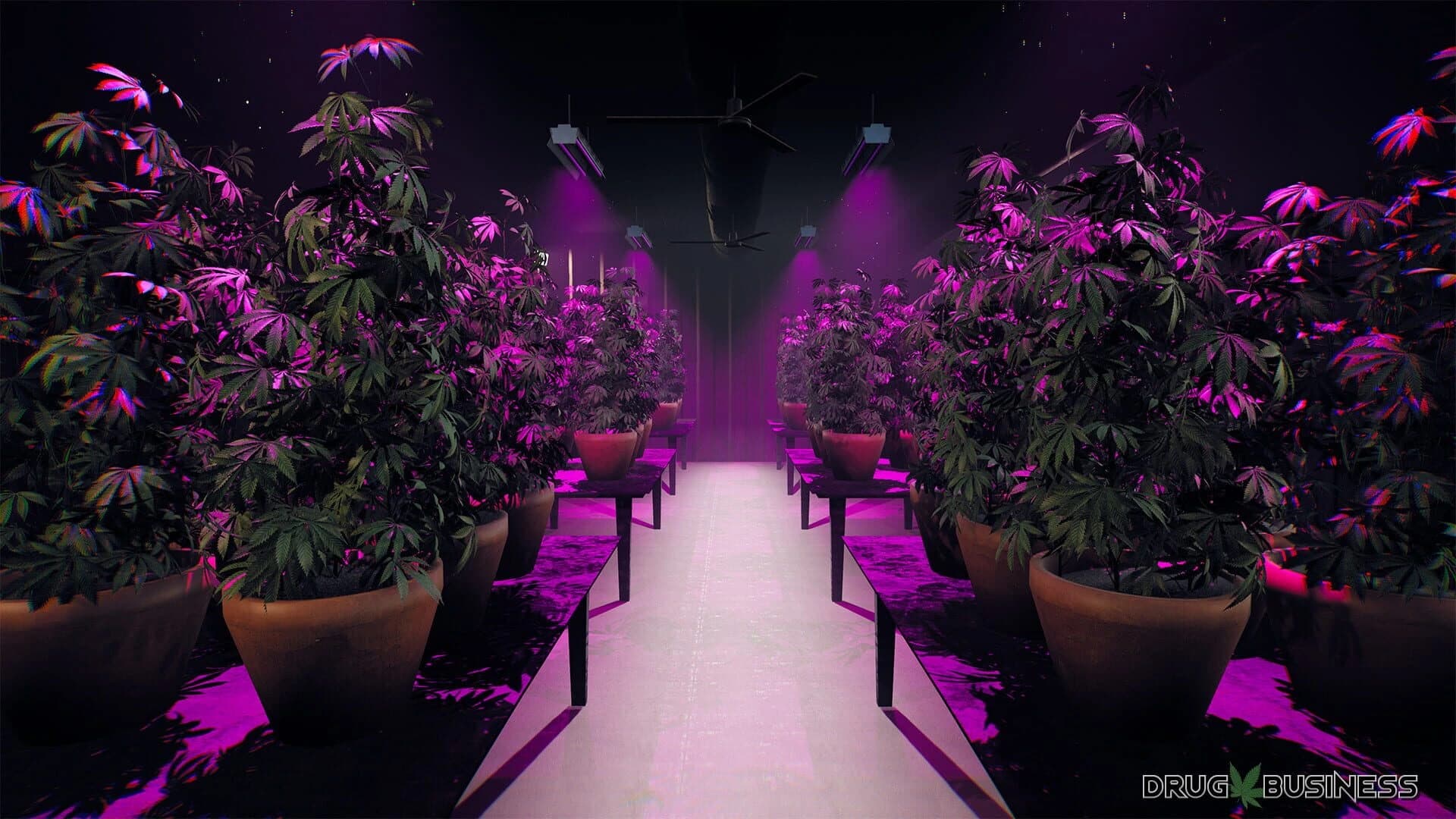 Drug Business screenshot 4