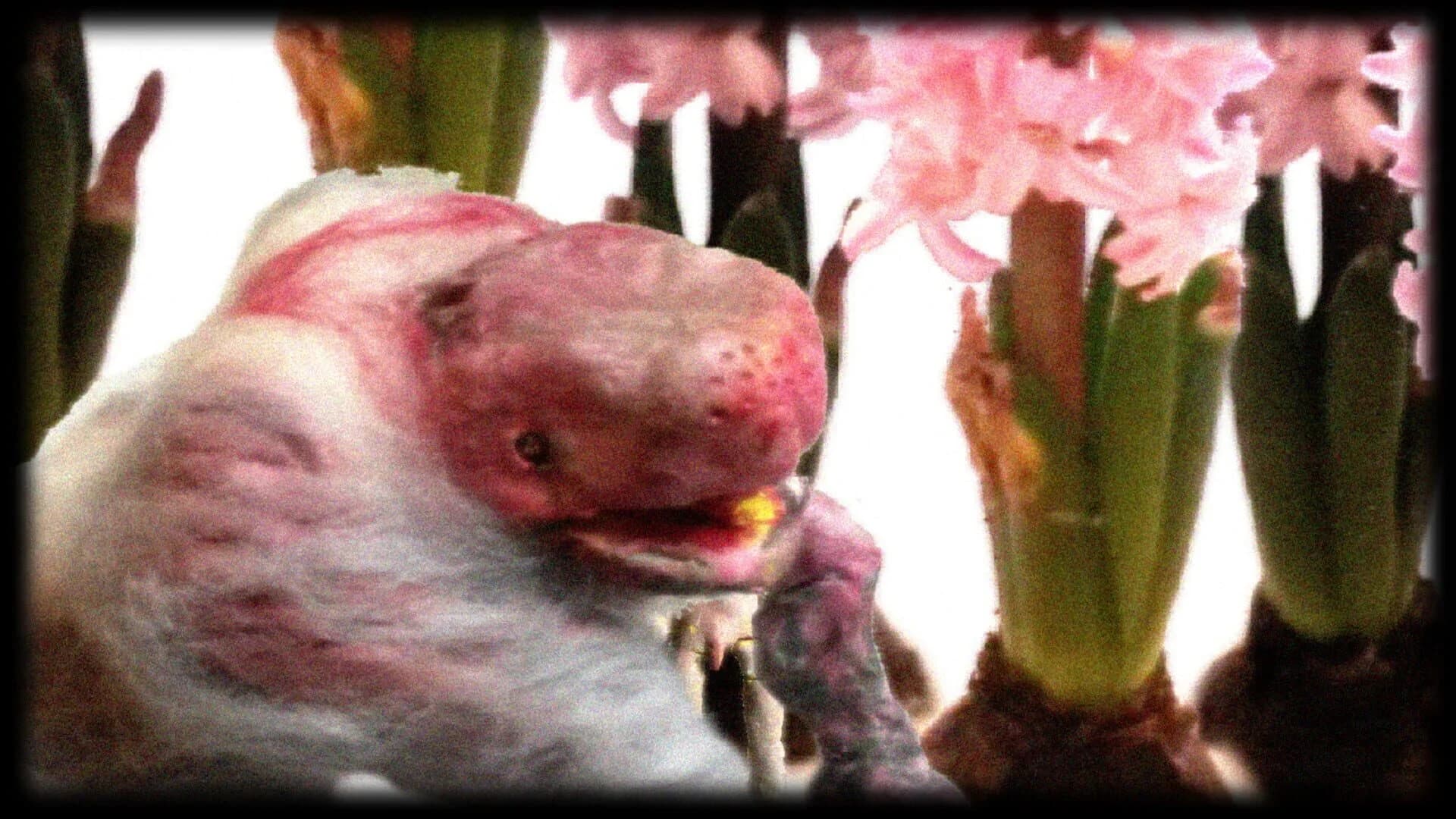 Dujanah screenshot 5