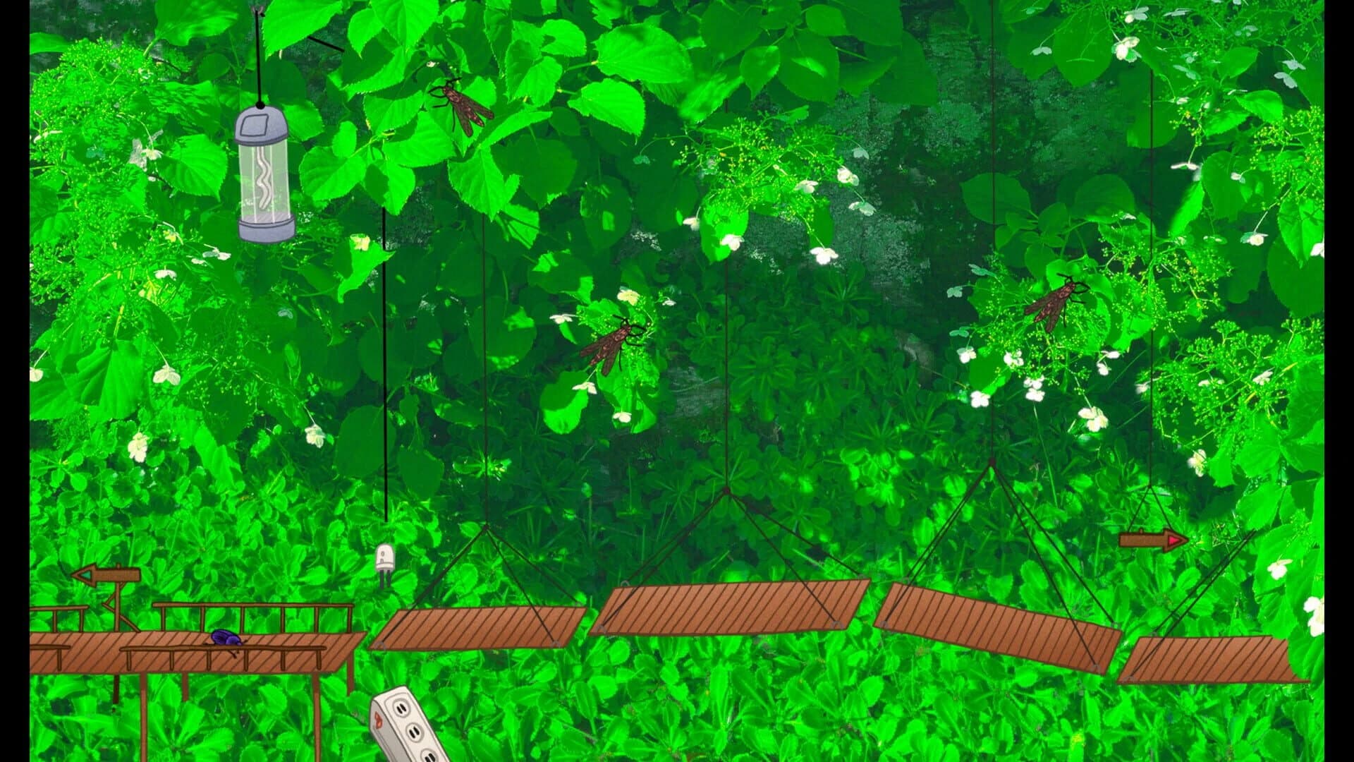 Dung Beetle Adventure screenshot 5
