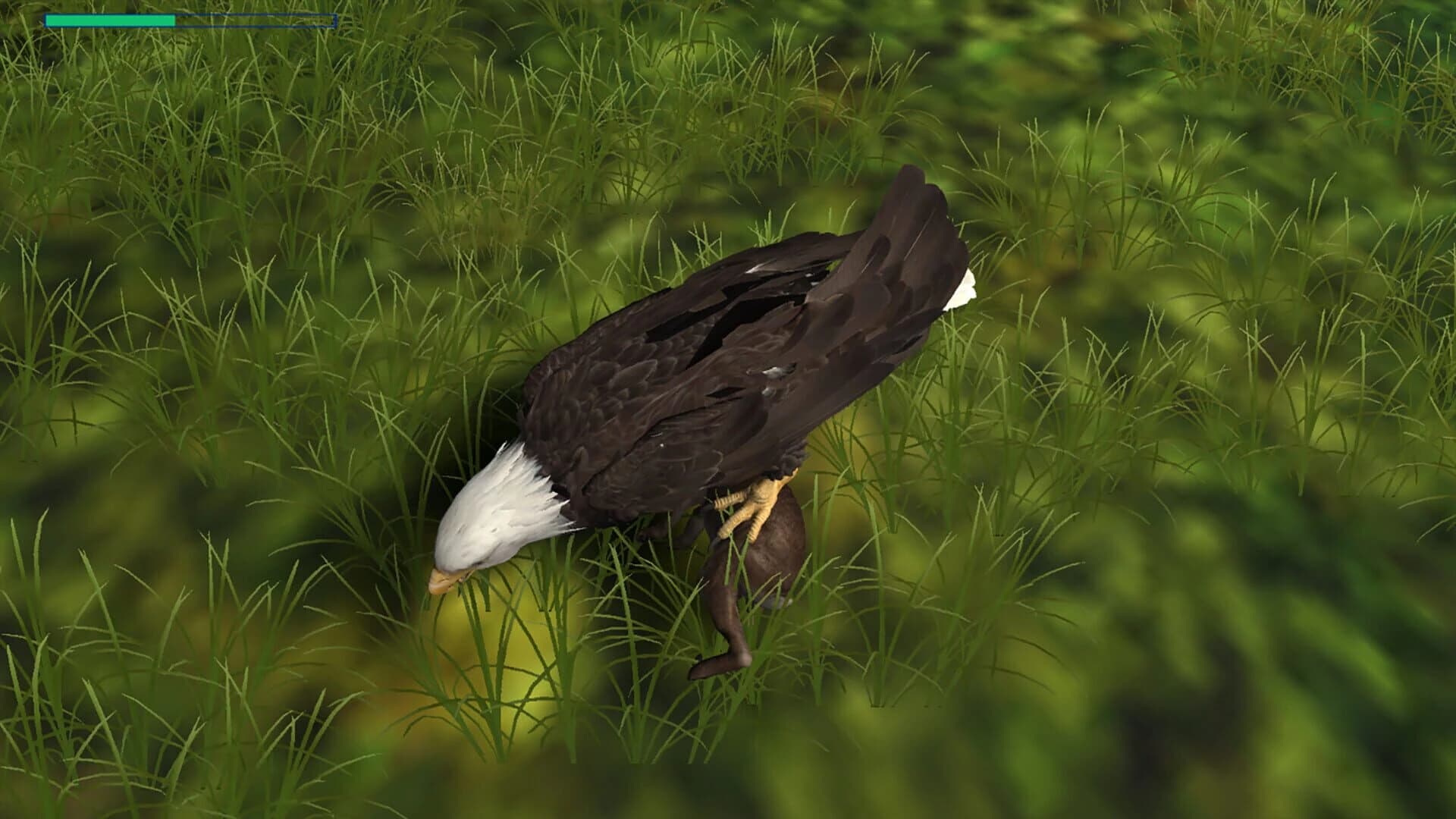 Eagle Hunting Journey screenshot 1