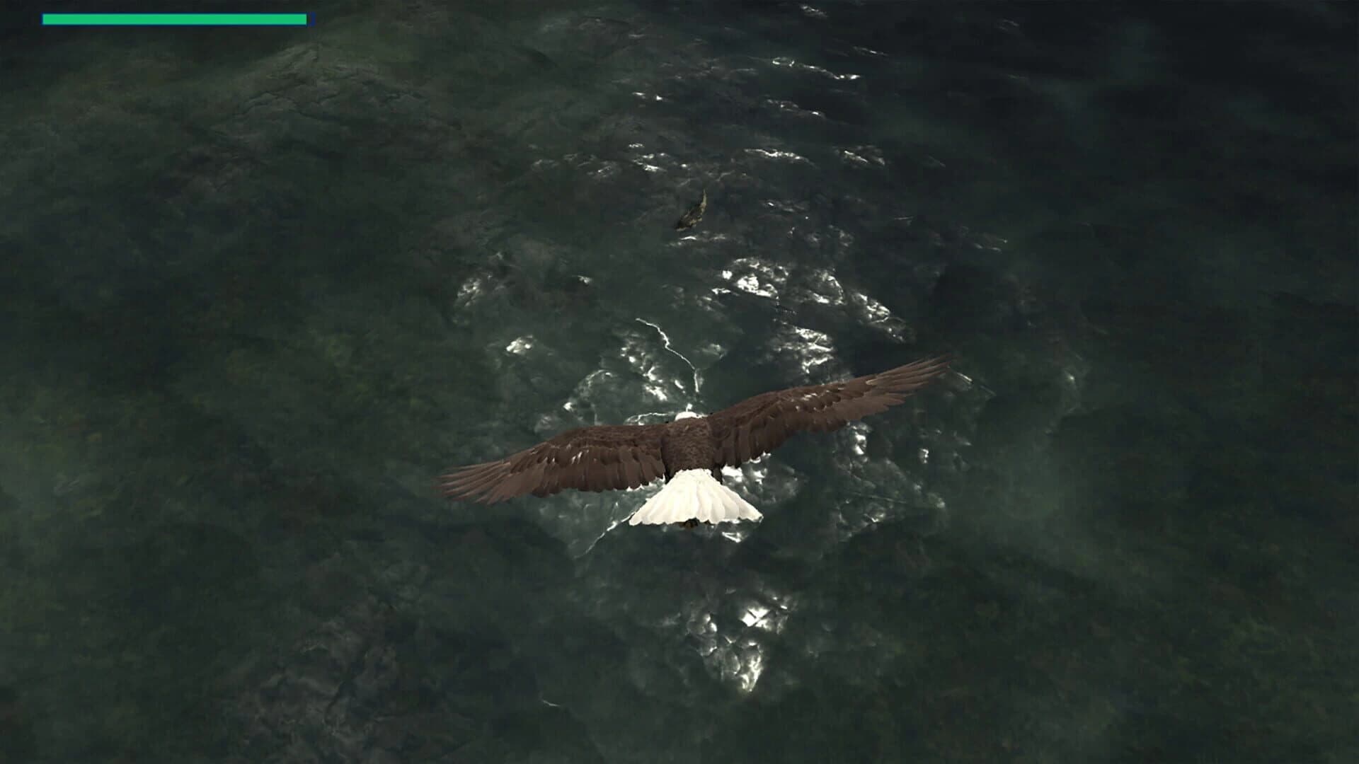 Eagle Hunting Journey screenshot 5