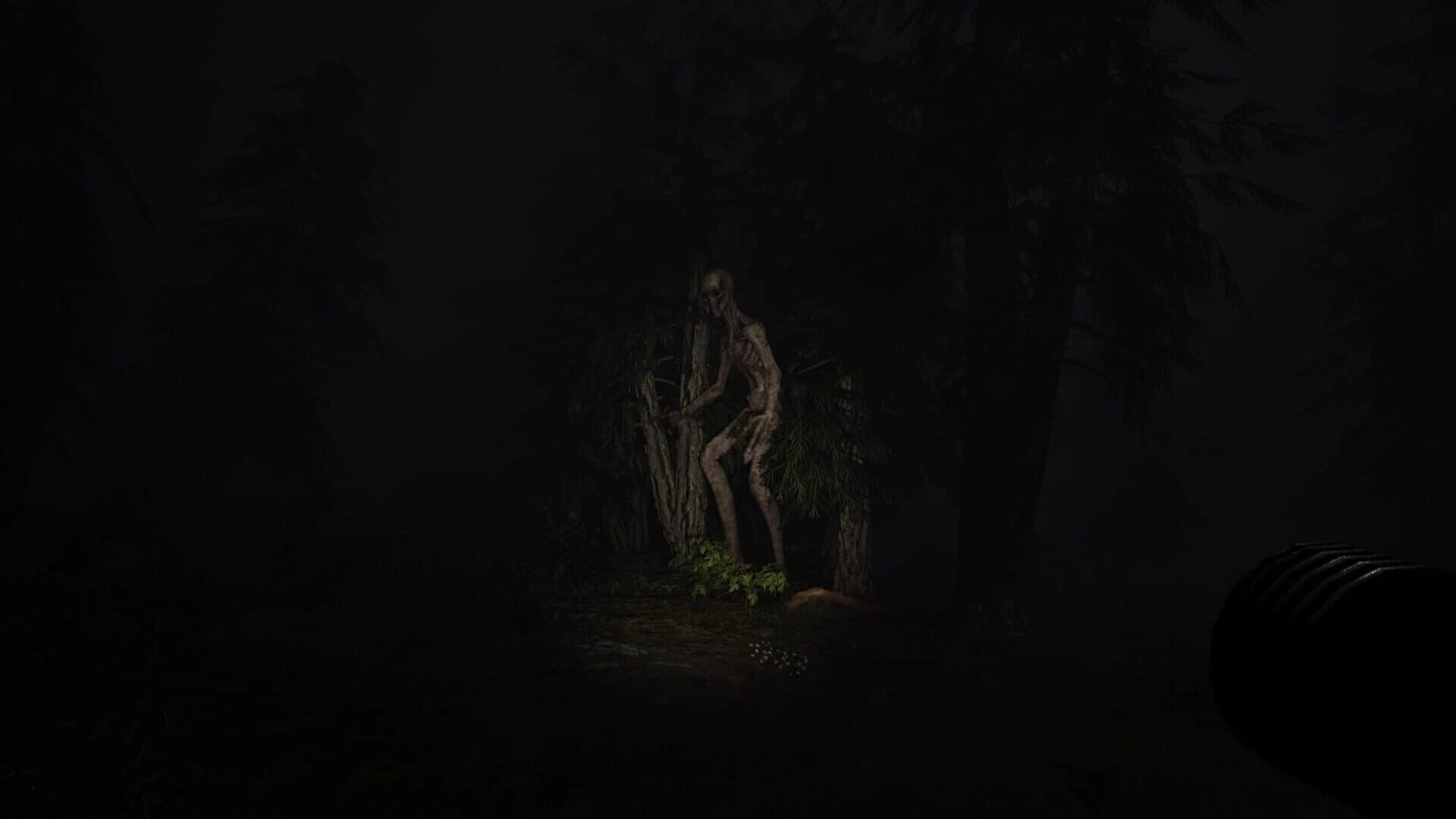 Echoes of Sin: Confusion screenshot 2