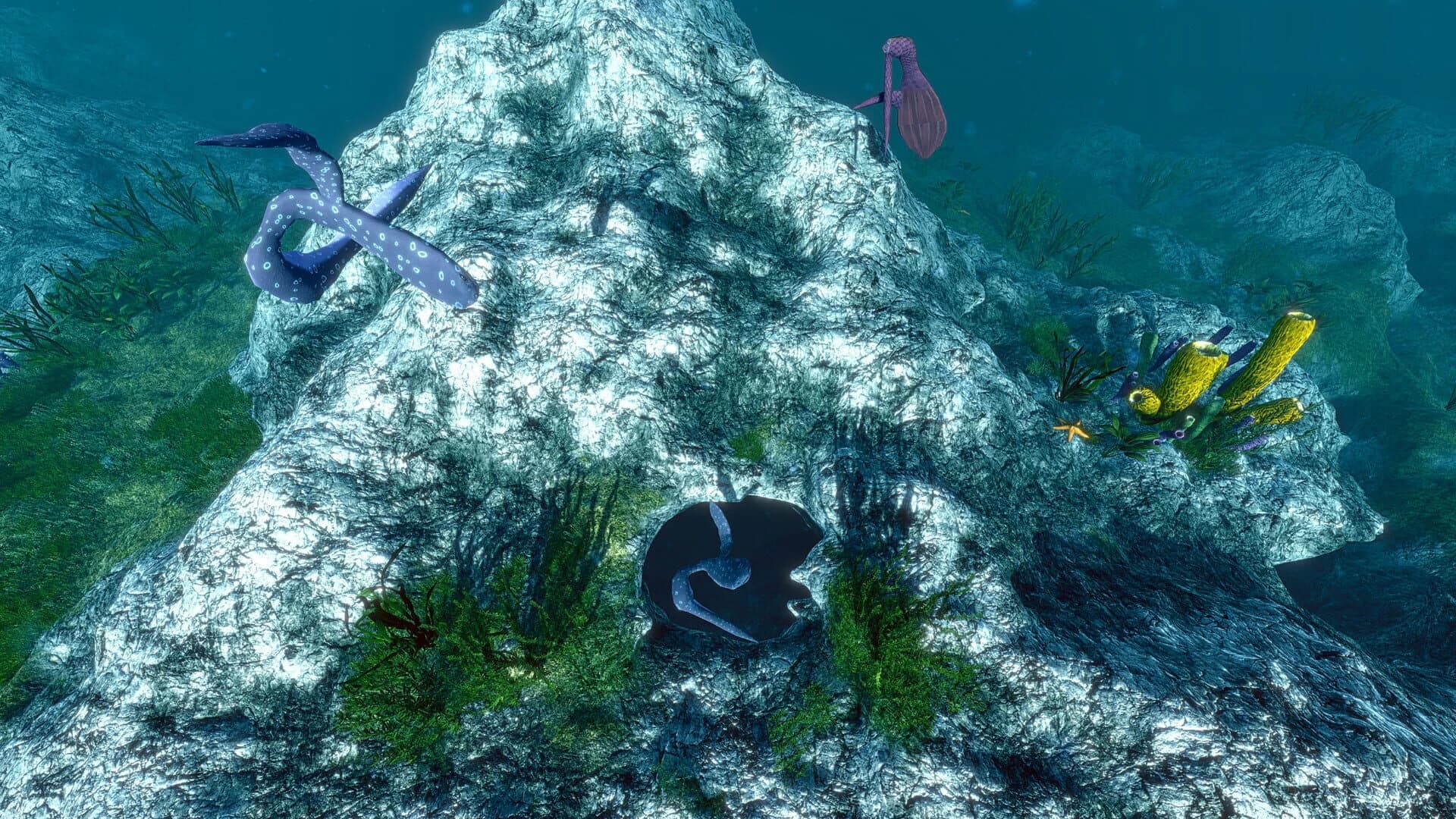 Ecosystem screenshot 4
