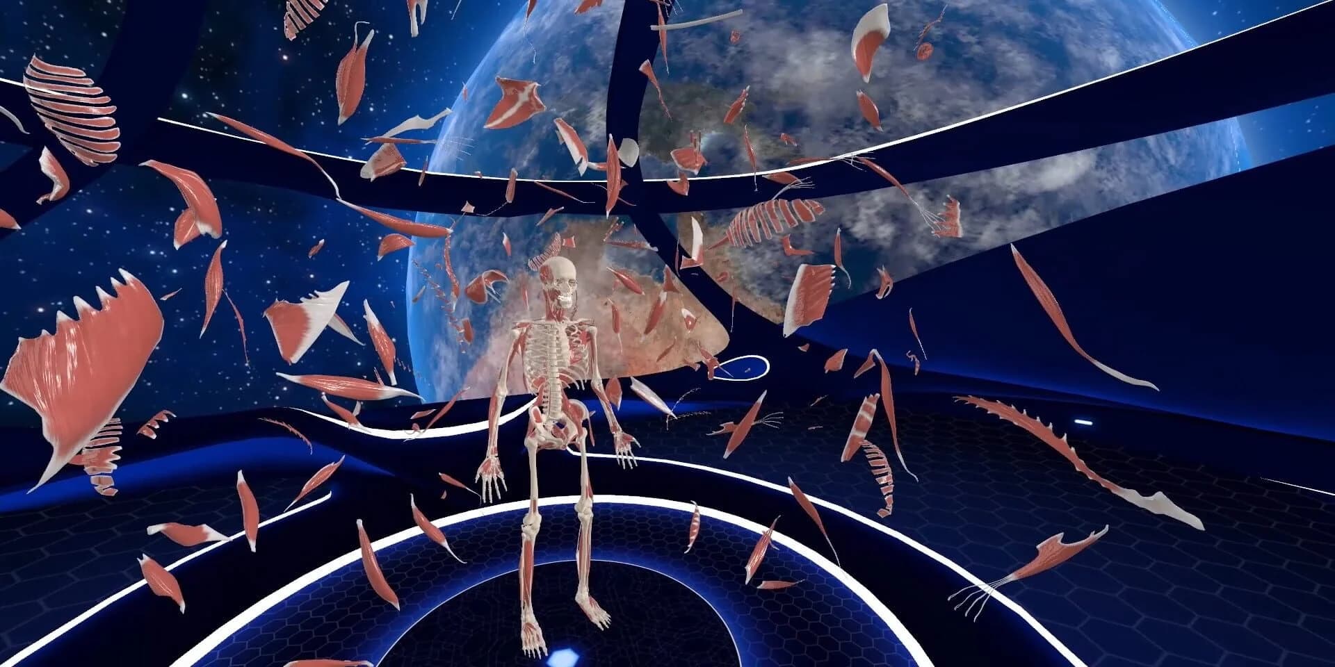 Elementary Anatomy: With Story Mode screenshot 2