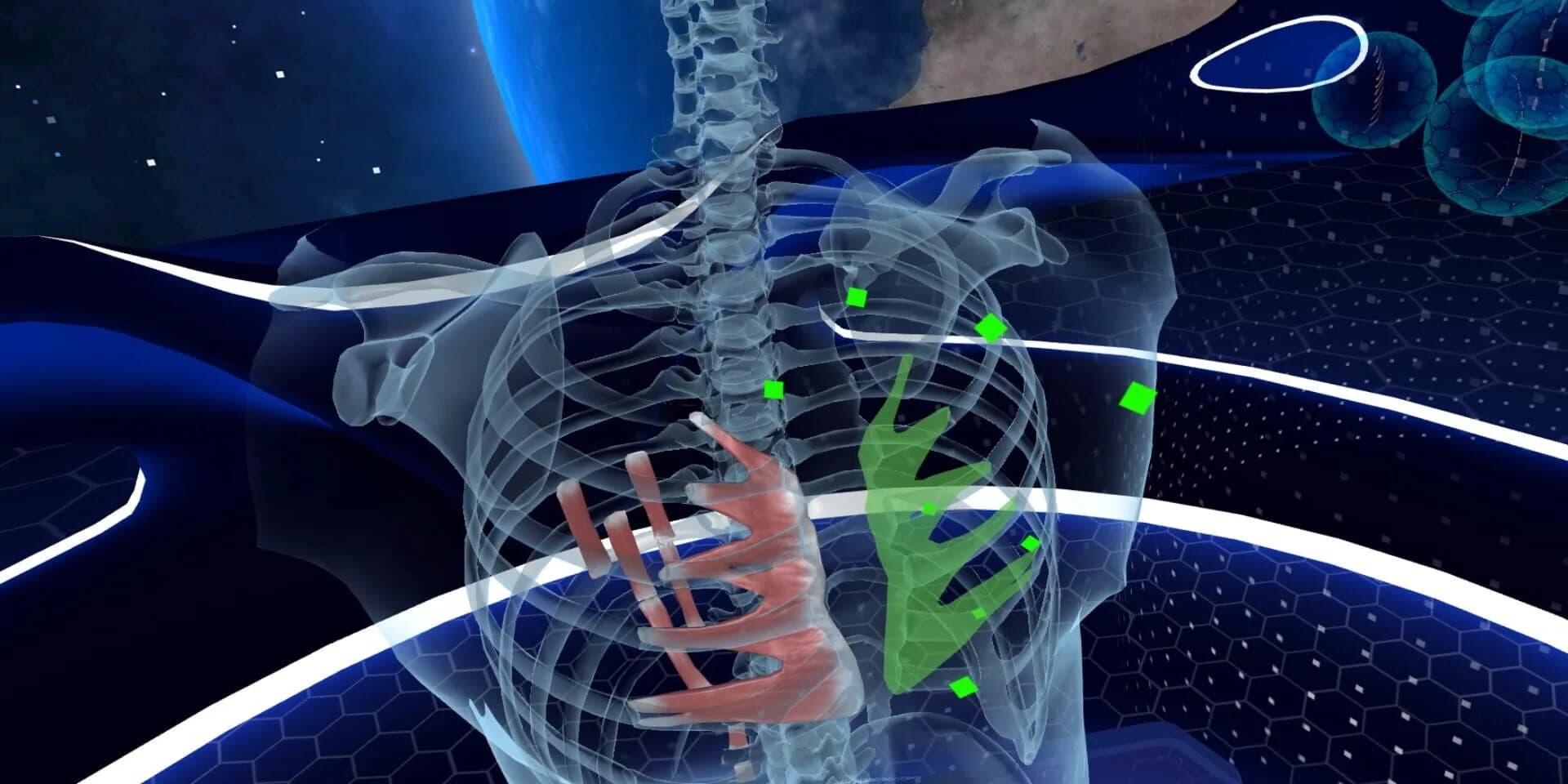 Elementary Anatomy: With Story Mode screenshot 5