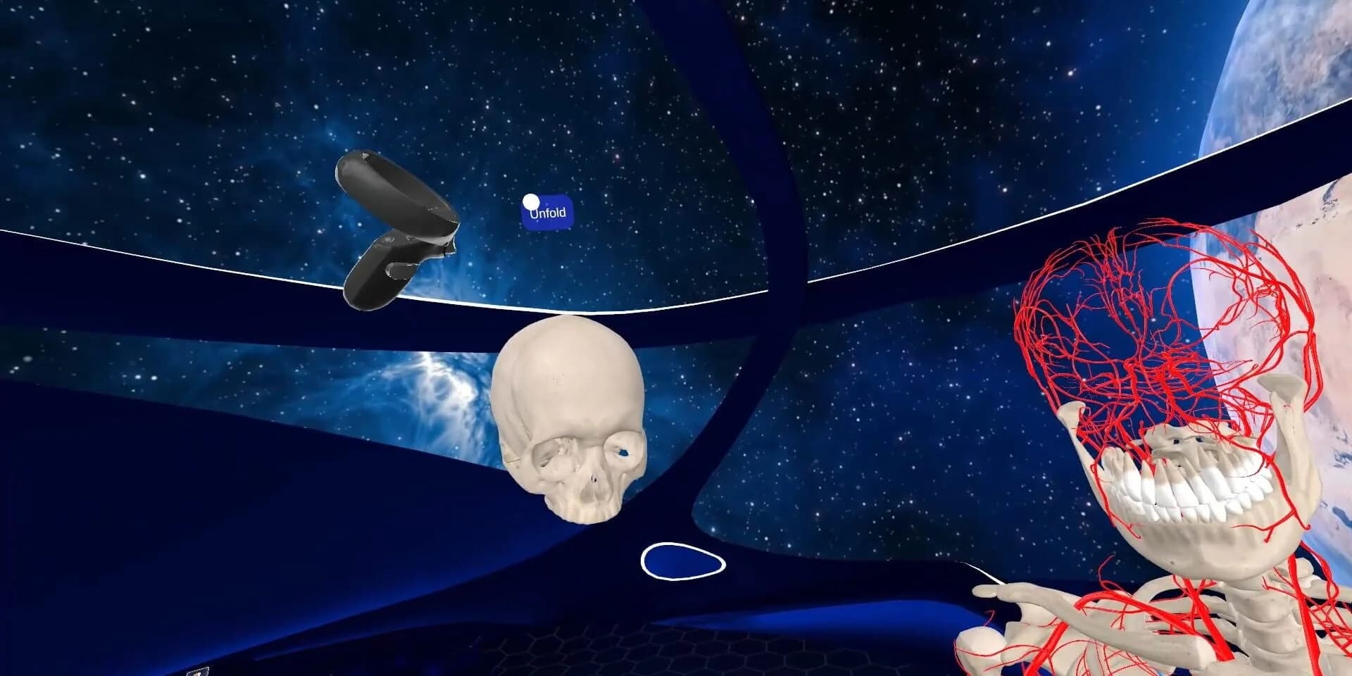 Elementary Anatomy: With Story Mode screenshot 3