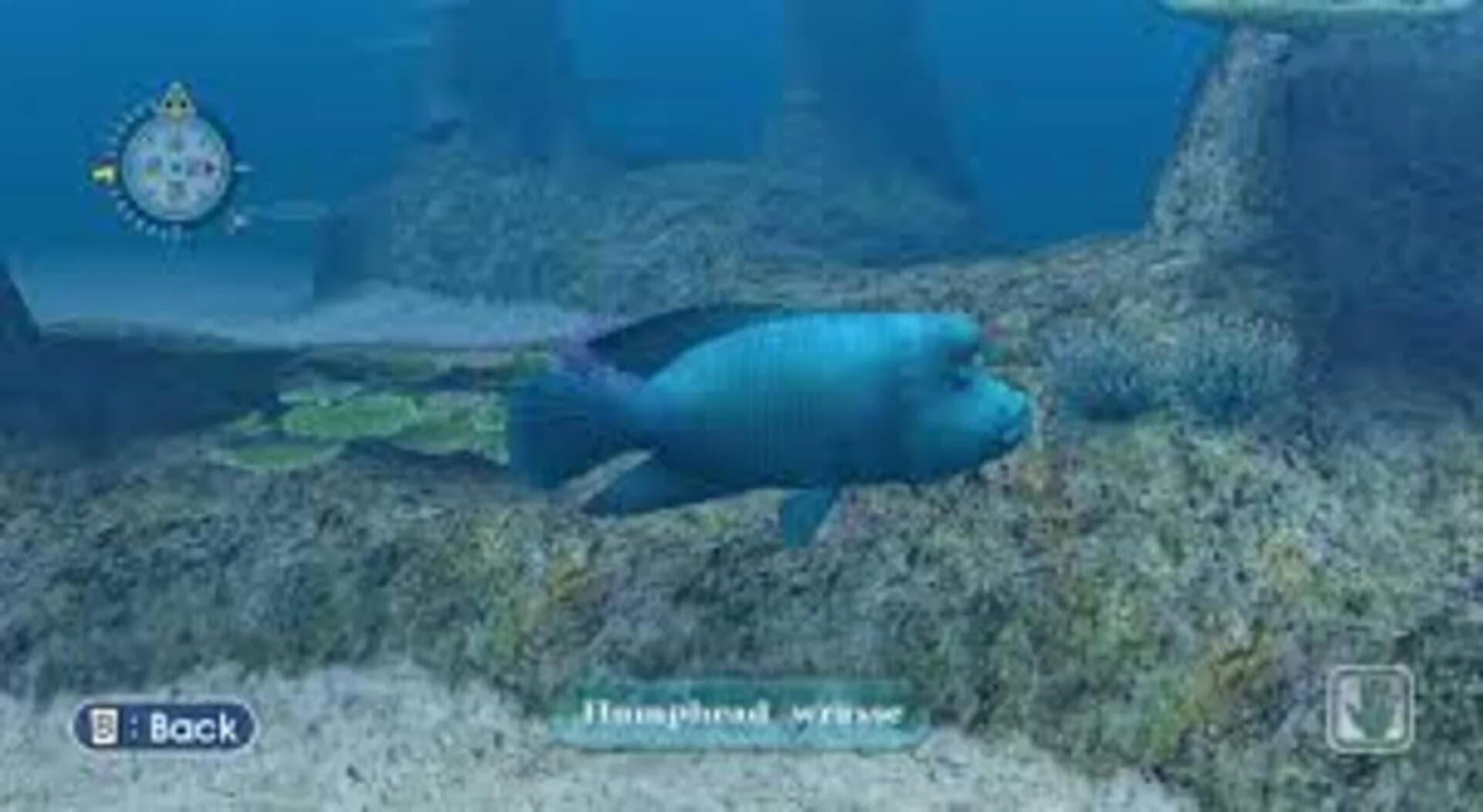 Endless Ocean screenshot 2