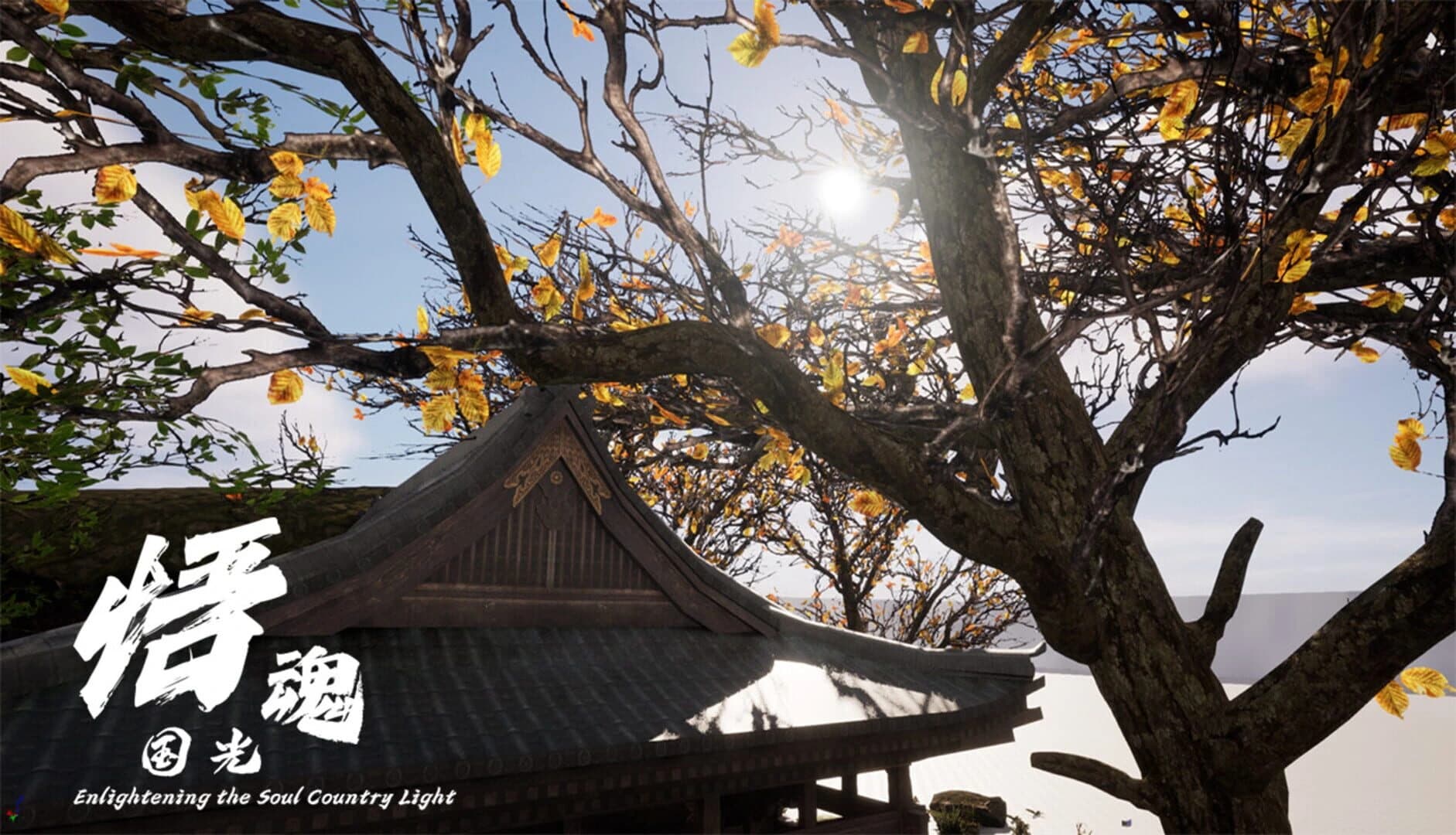 Enlightening the Soul Country Light screenshot 1