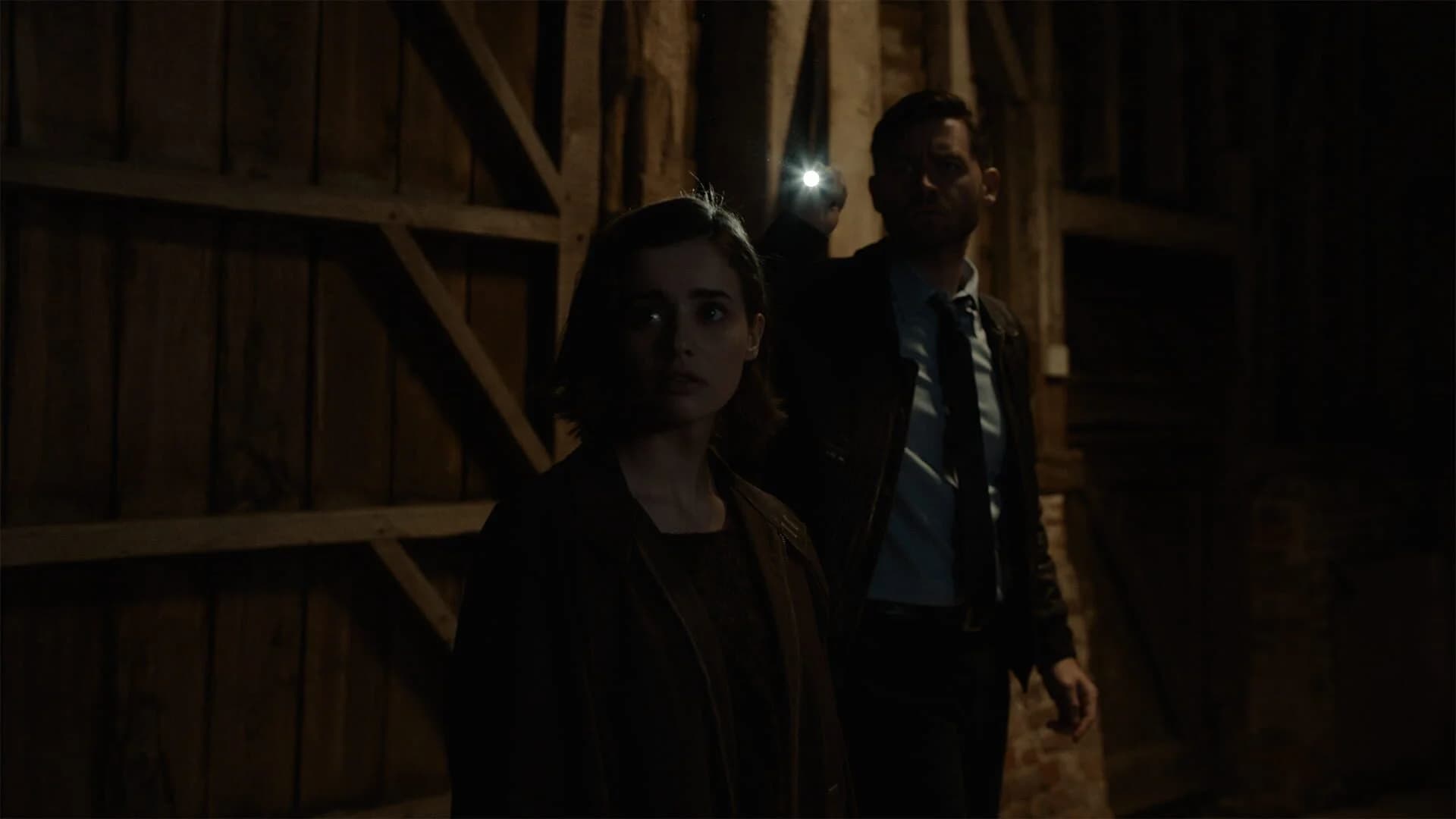 Erica screenshot 2