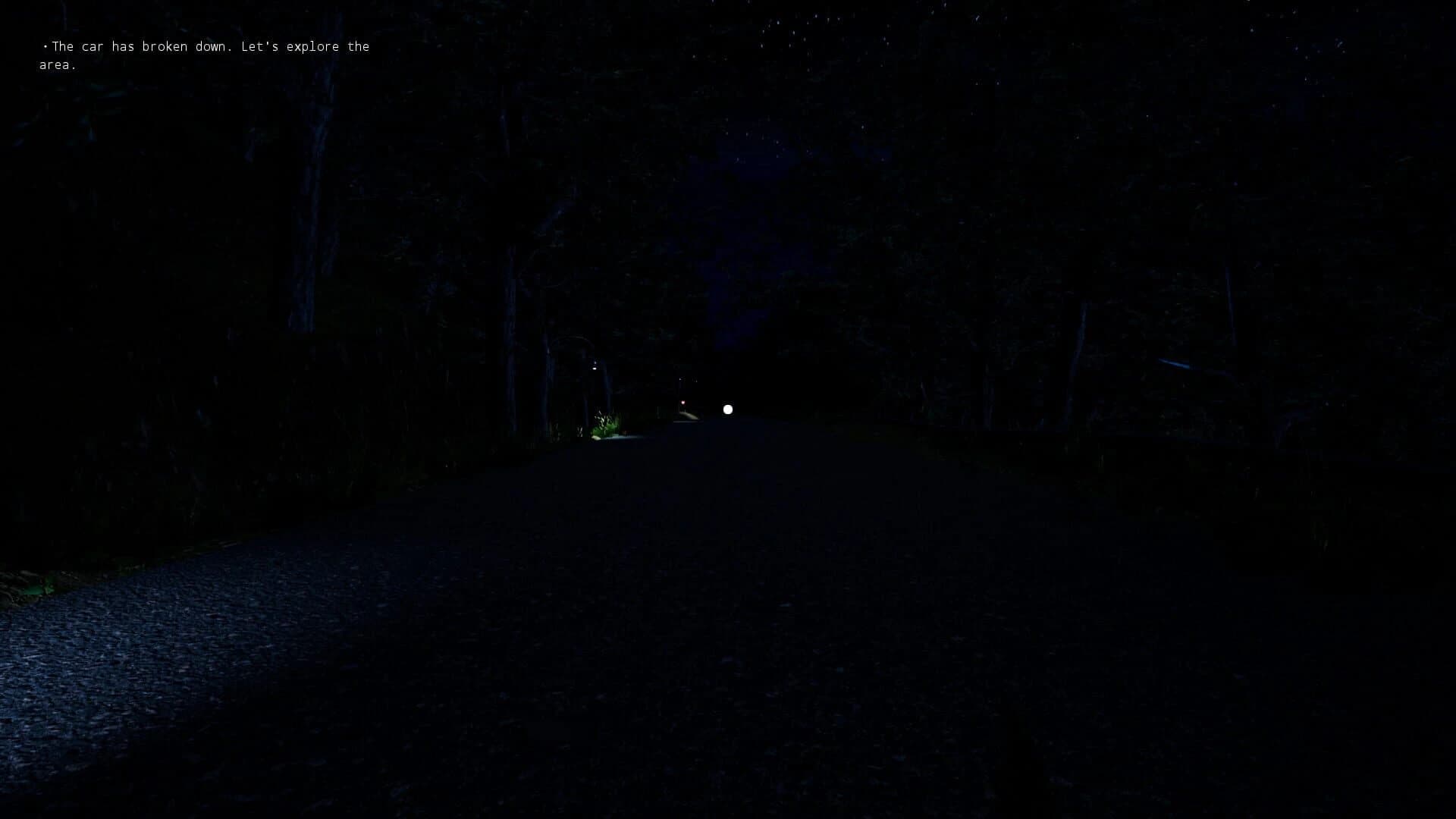 Escape from the Village screenshot 2