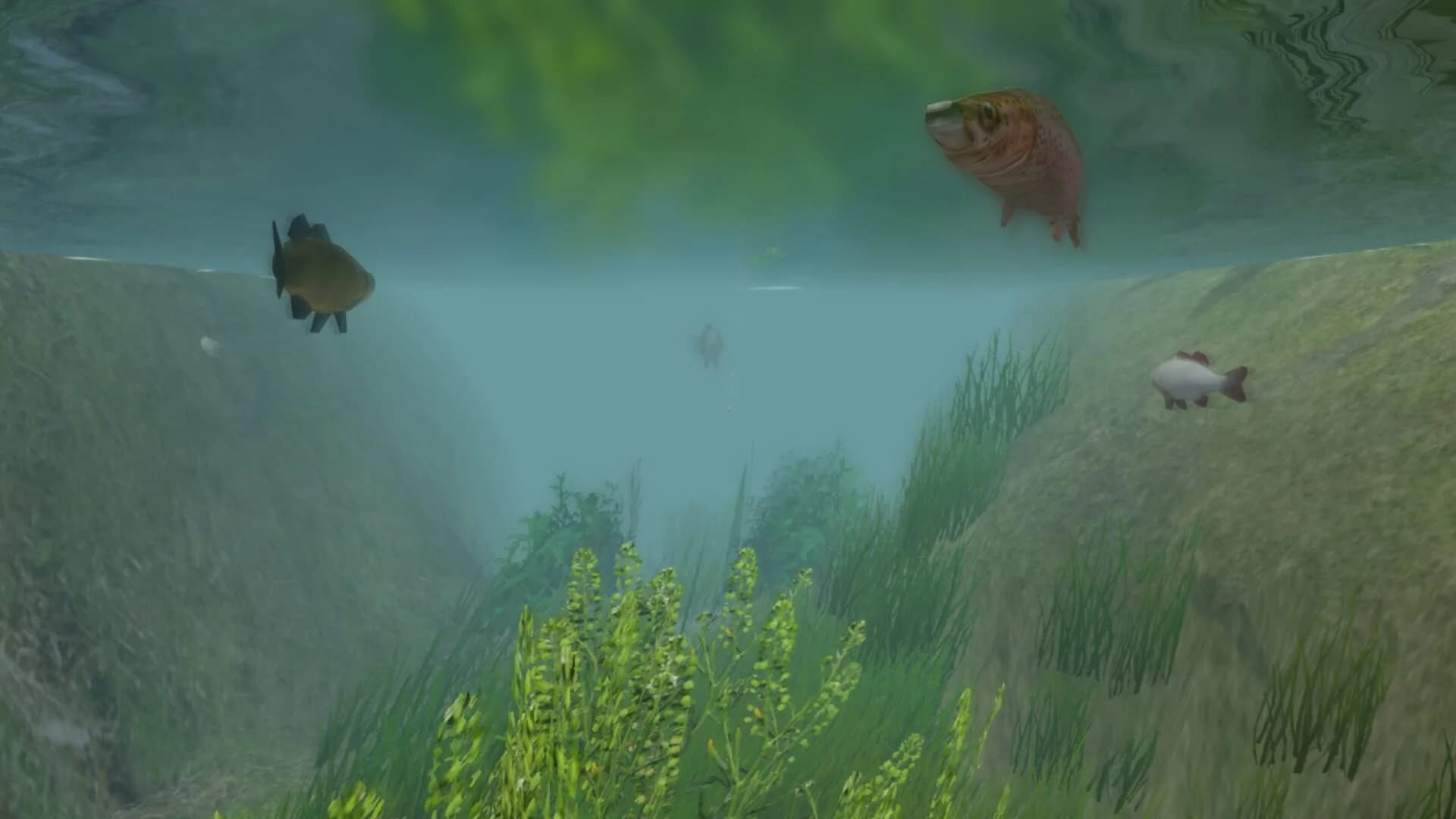 European Fishing screenshot 3