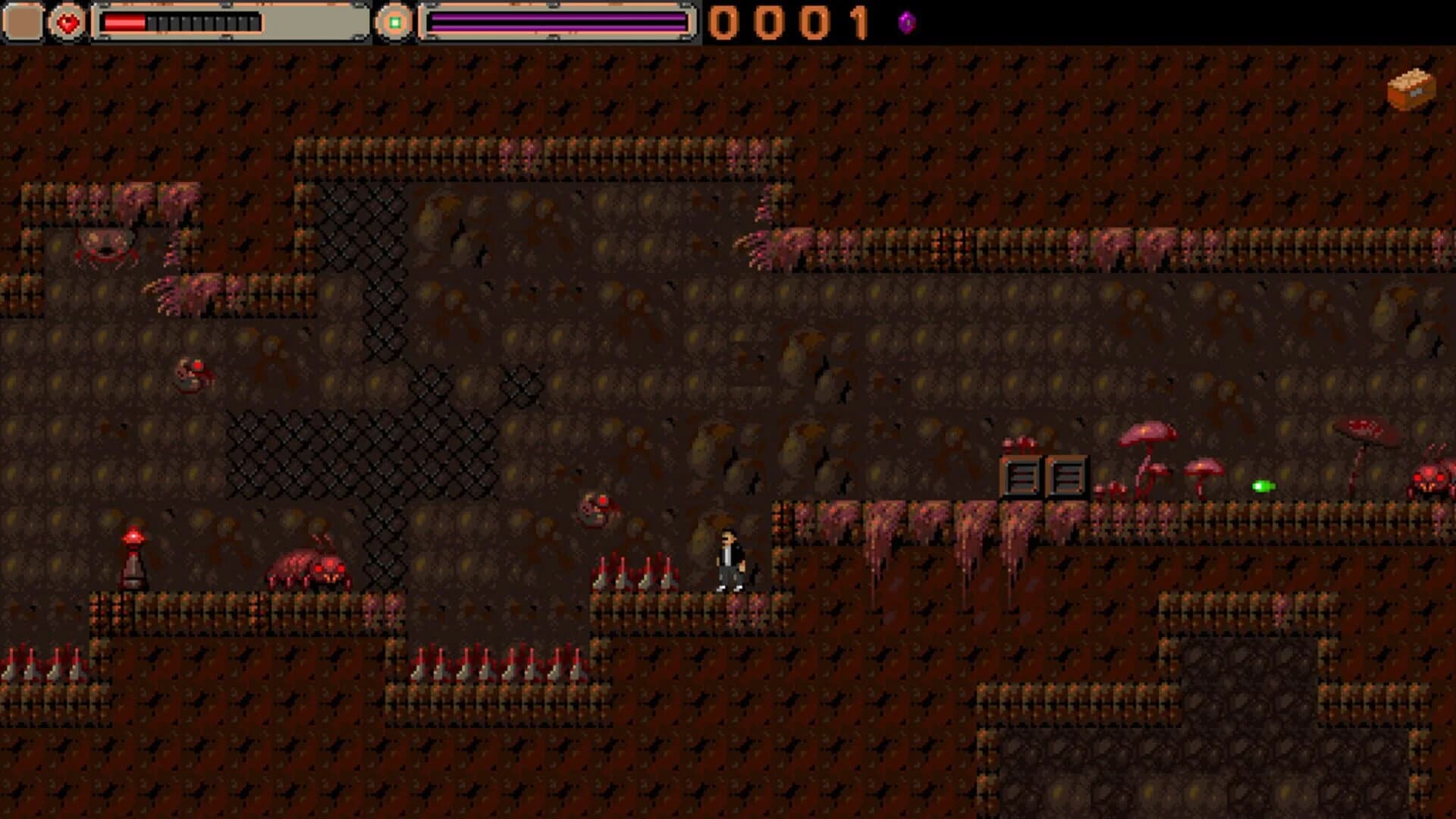 External Visions screenshot 1