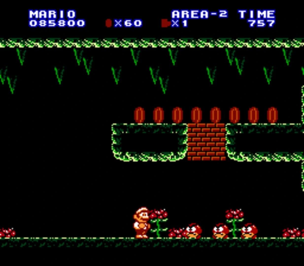 Extra Mario Bros. screenshot 2
