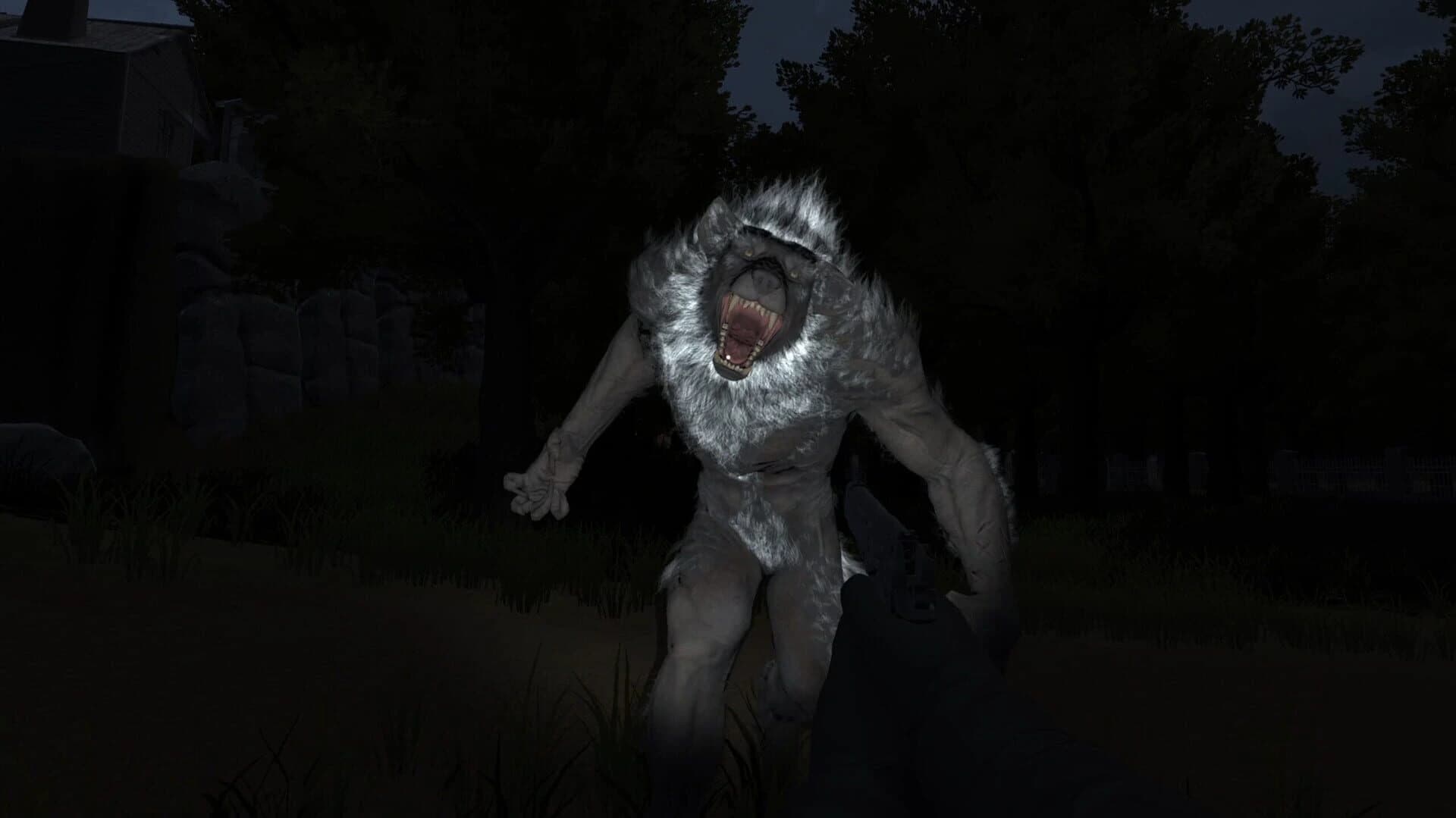 Far From The Darkness screenshot 2