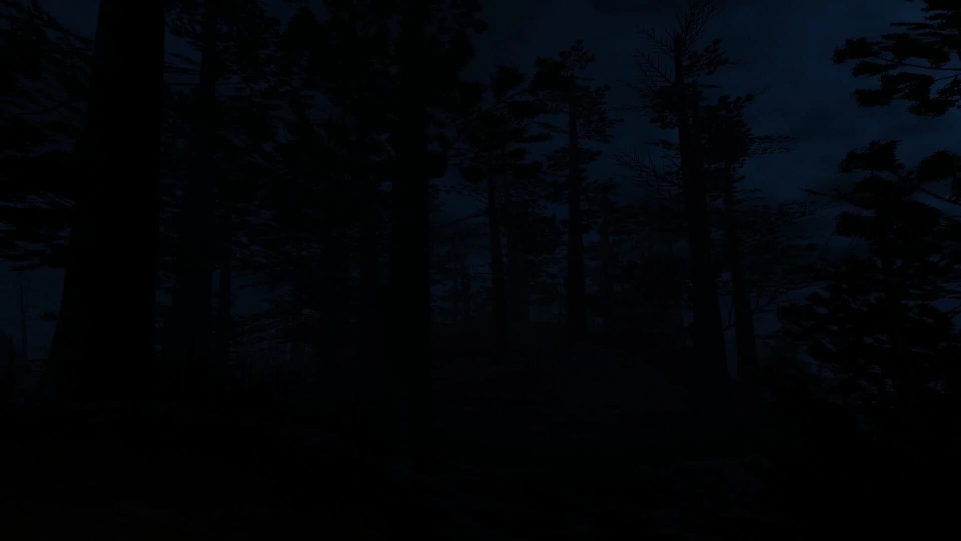 Fear of Nightmares: Madness Descent screenshot 2